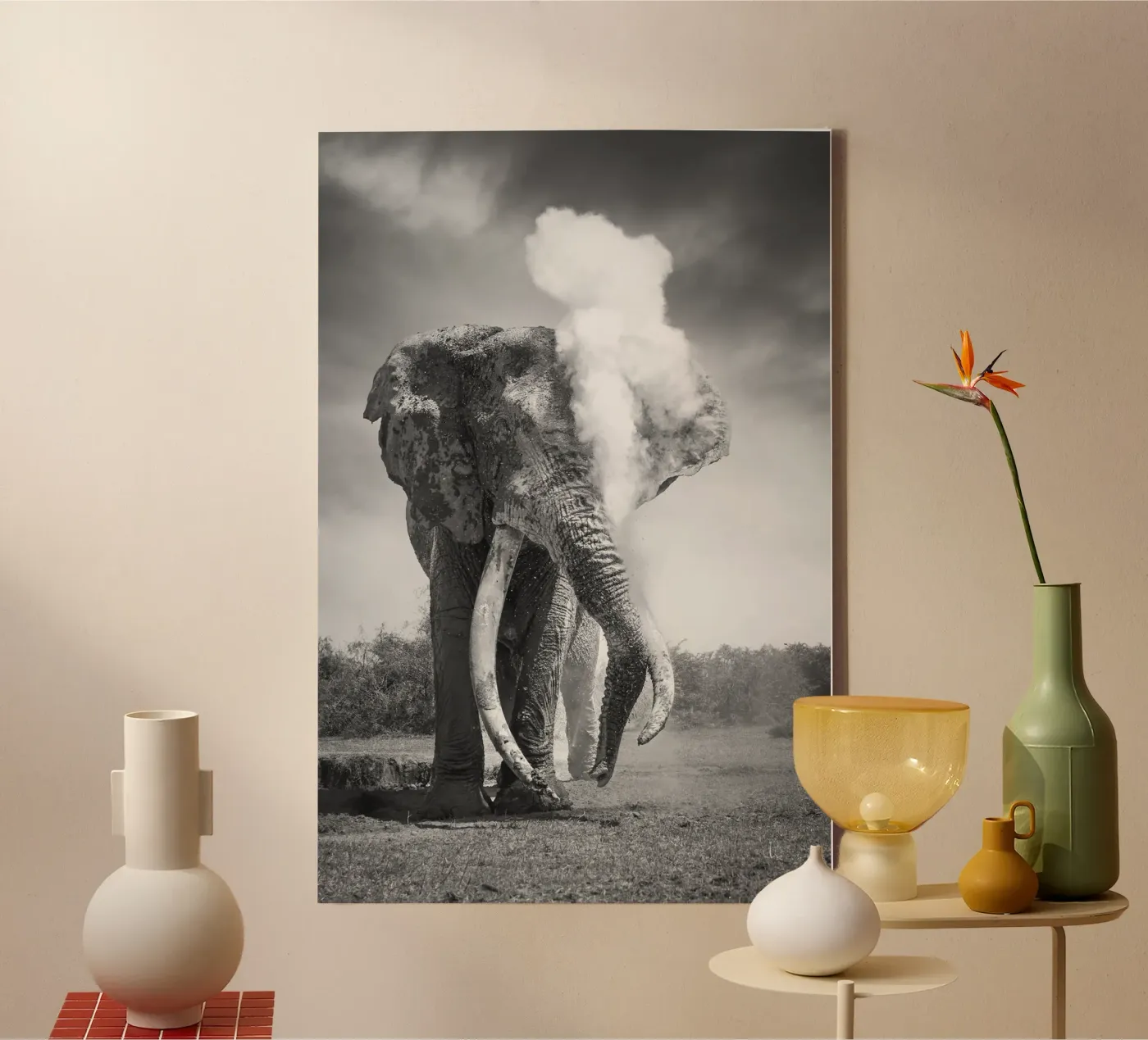 Staubexplosion Leinwand von Pictufy Photography