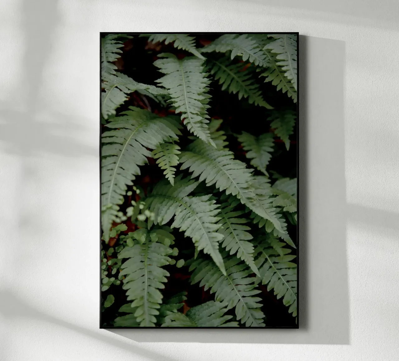 Felce selvatica plexiglass da Pictufy Photography