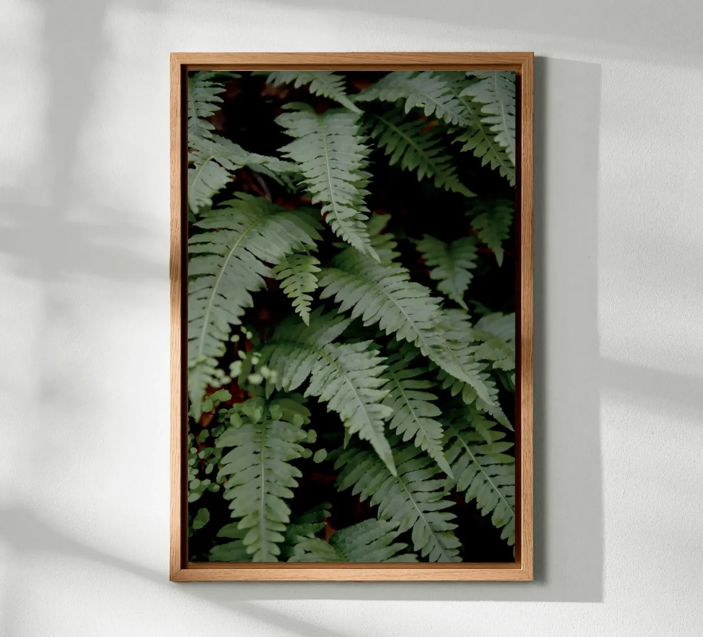 Wild Fern tela da Pictufy Photography