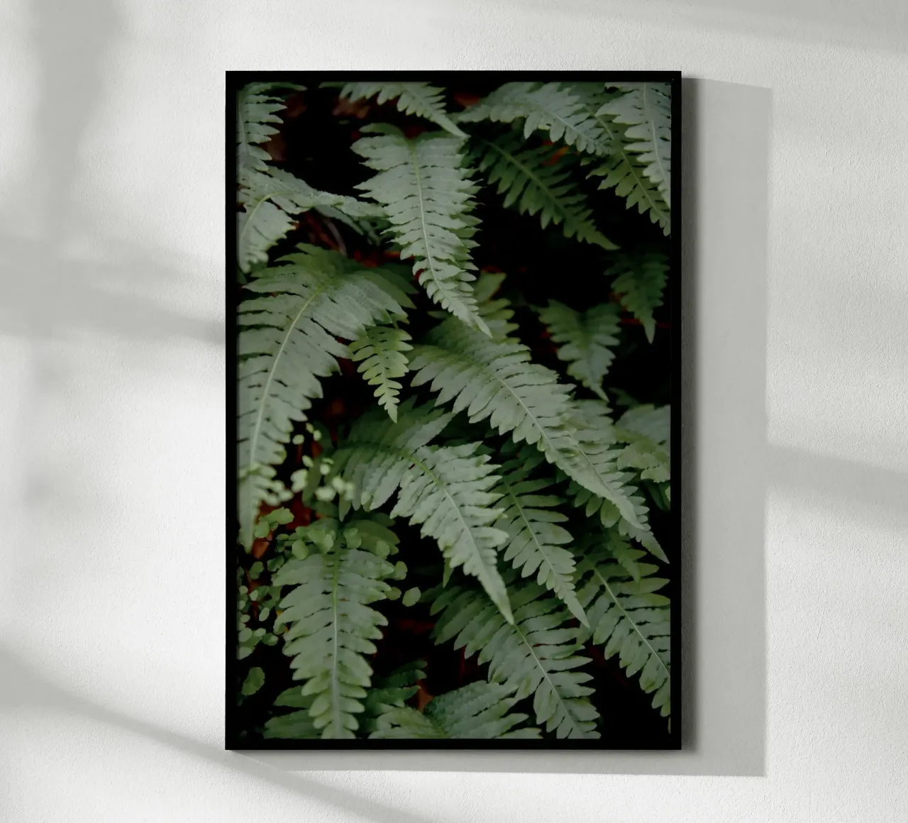 Wild Fern poster van Pictufy Photography