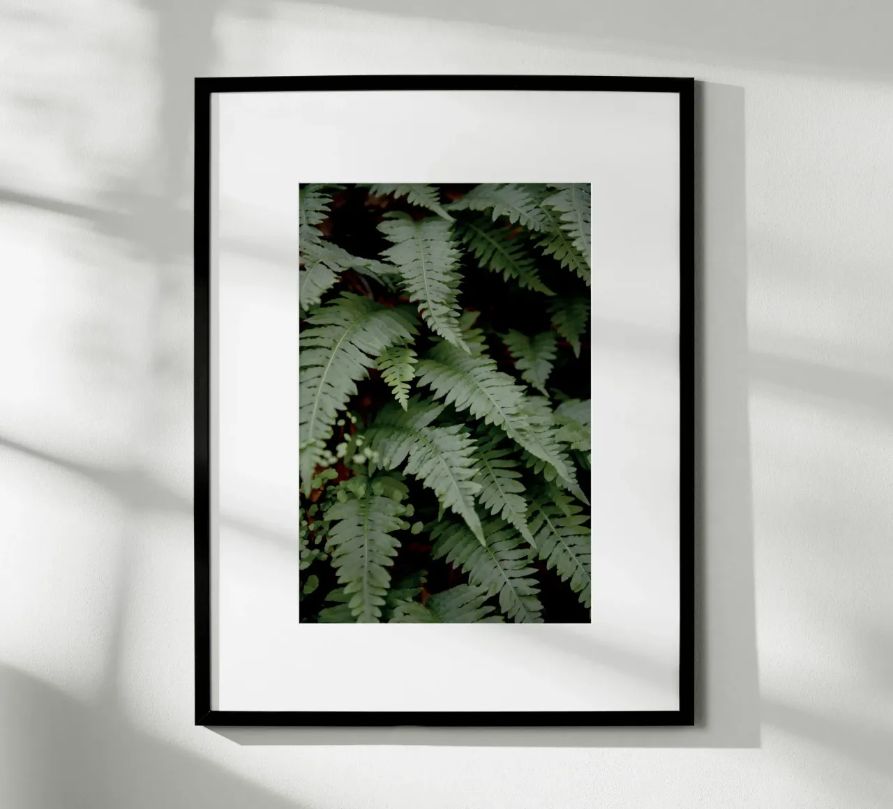 Wild Fern poster van Pictufy Photography