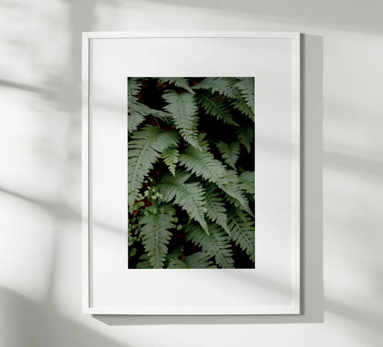 Felce selvatica poster da Pictufy Photography