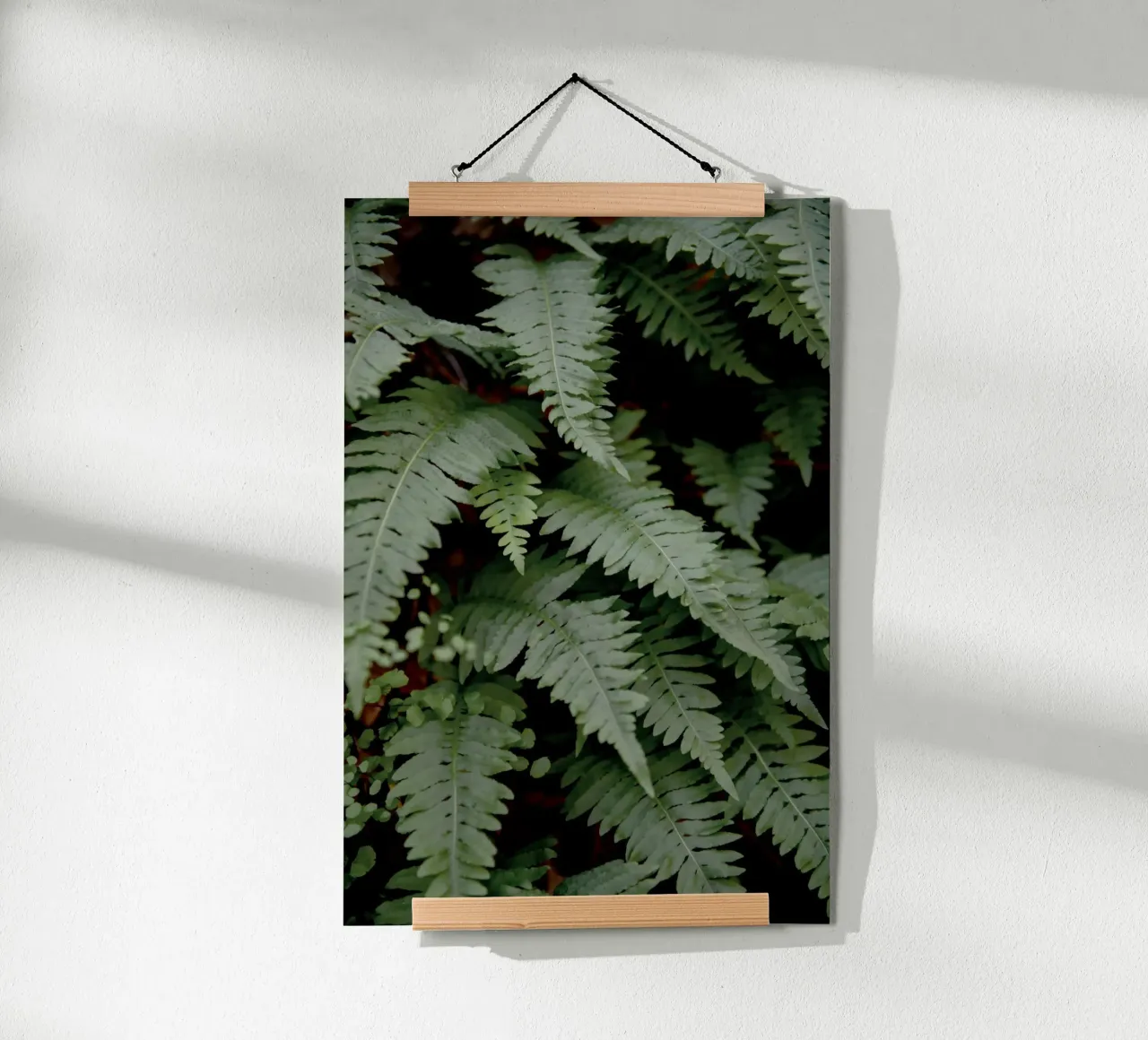 Wild Fern poster van Pictufy Photography