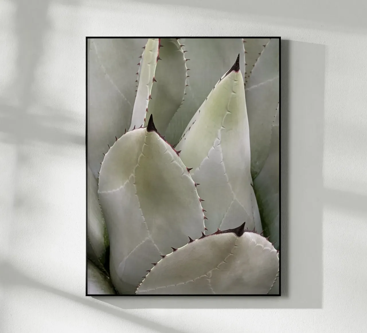 Overlapping plexiglass da Pictufy Photography