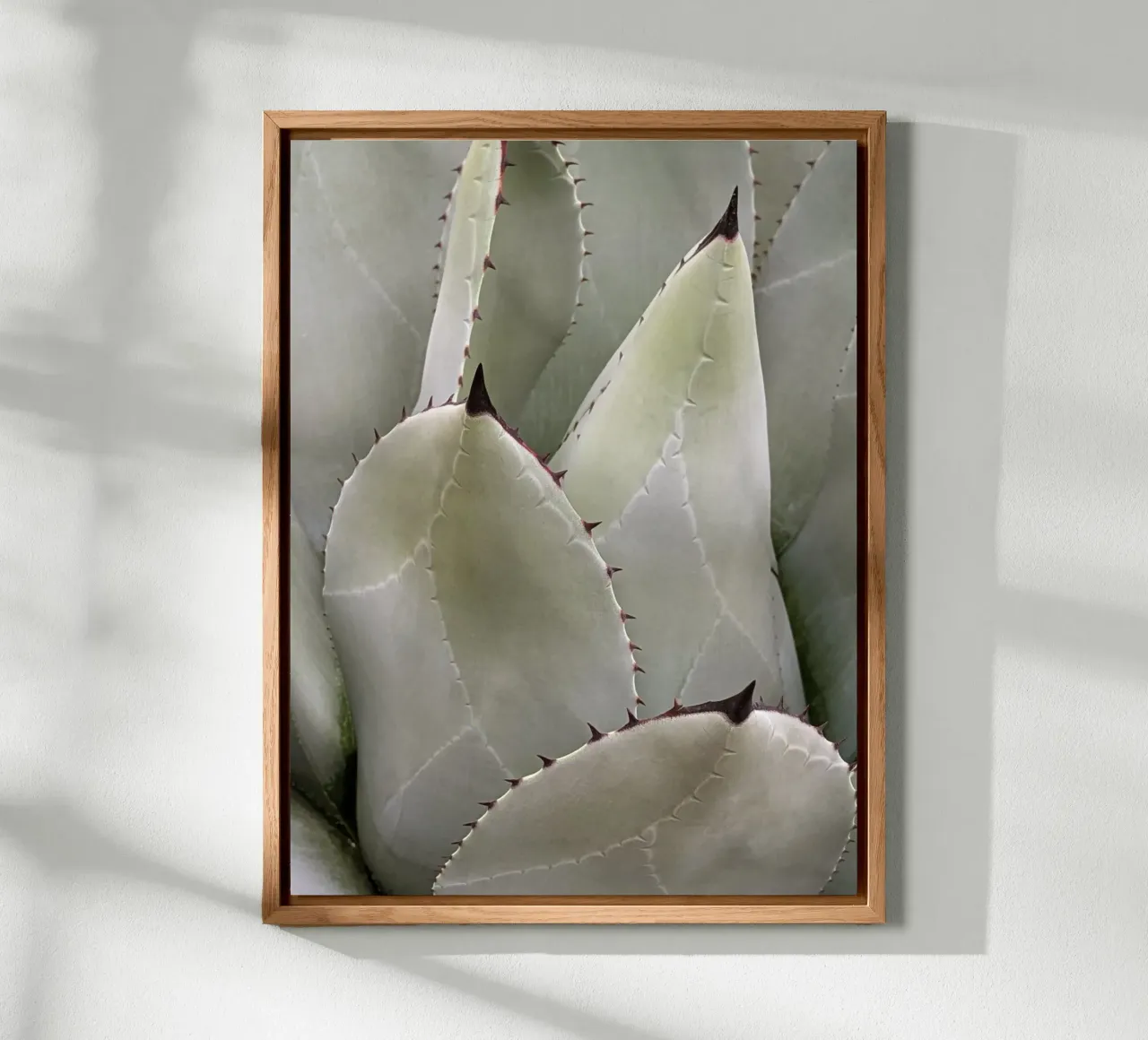 Overlapping forex plate by Pictufy Photography