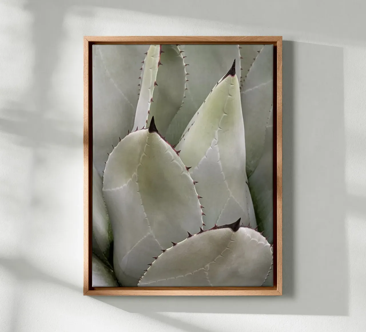 Overlapping canvas by Pictufy Photography