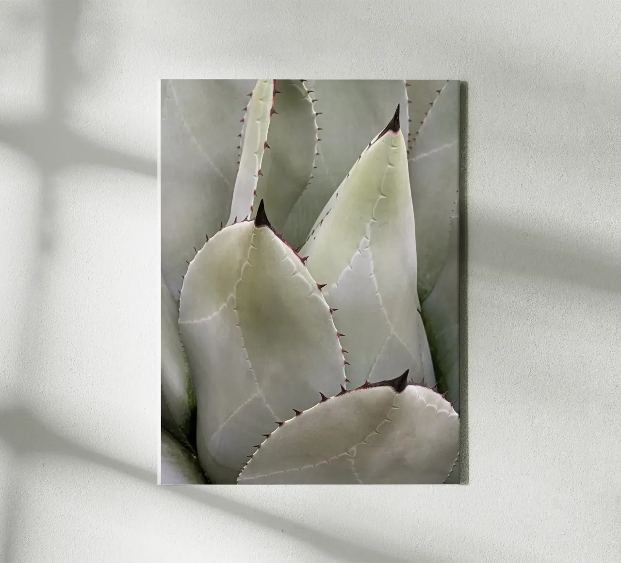 Overlapping canvas by Pictufy Photography