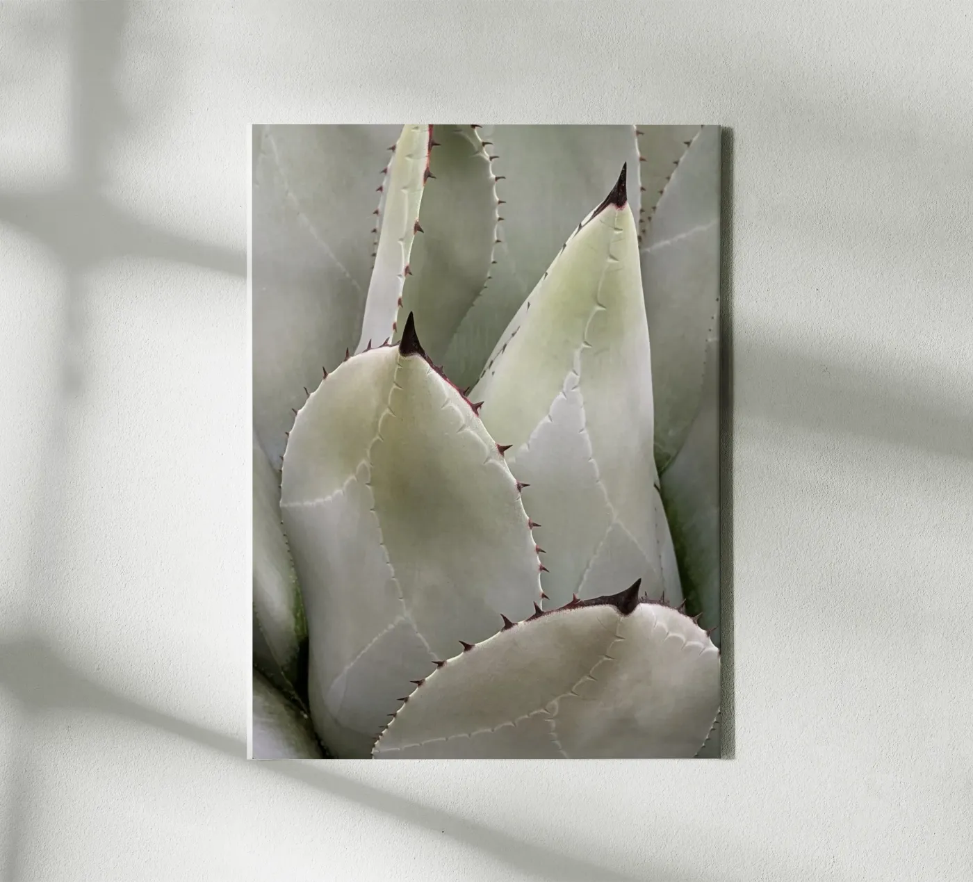 Overlapping canvas van Pictufy Photography