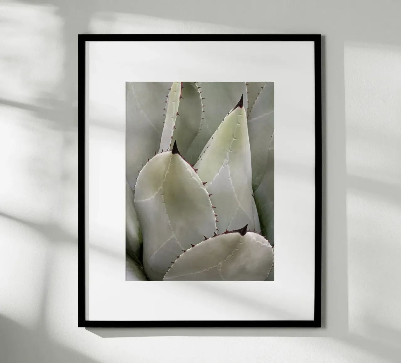 Overlapping poster by Pictufy Photography