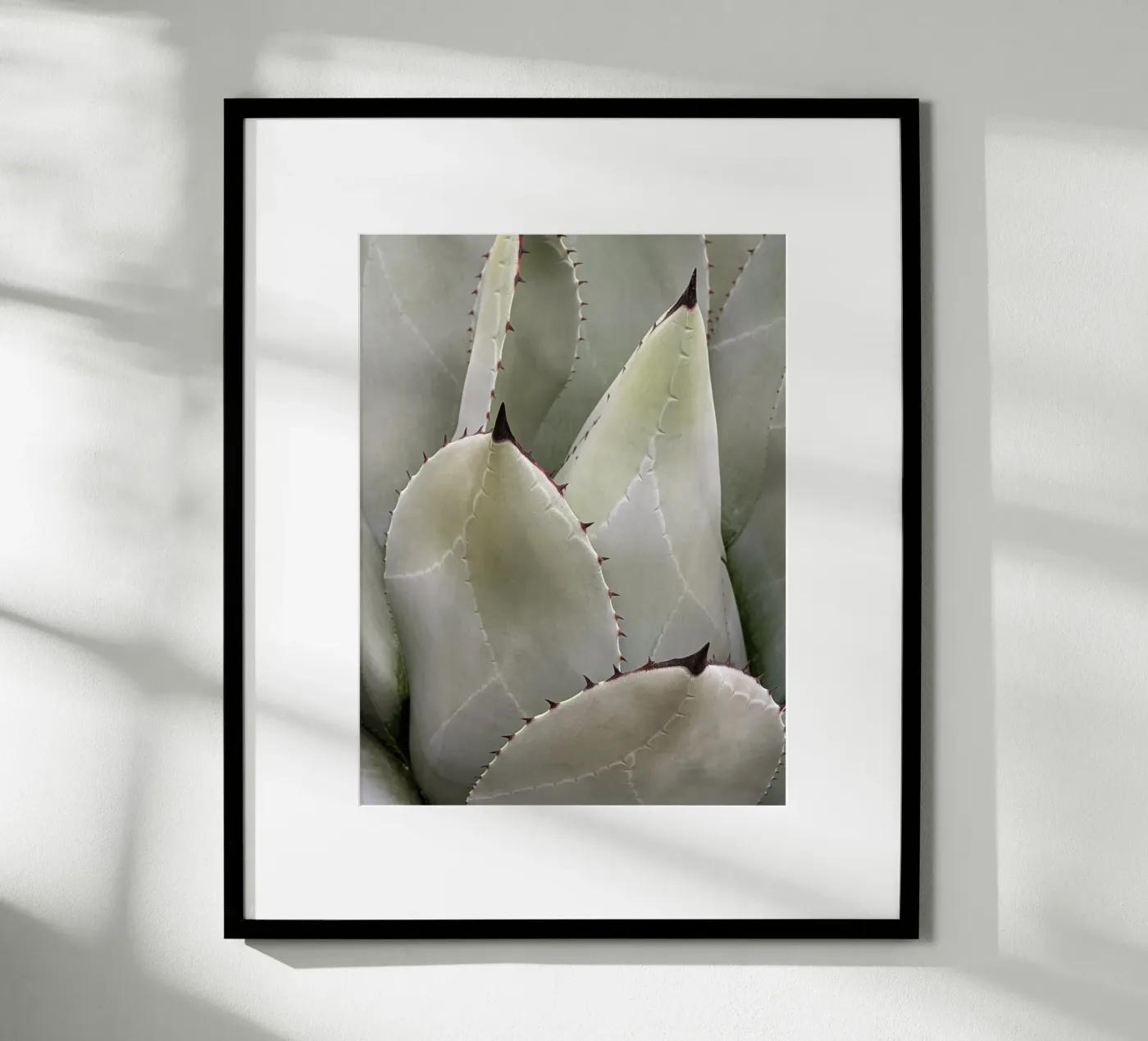 Sovrapposizione poster da Pictufy Photography