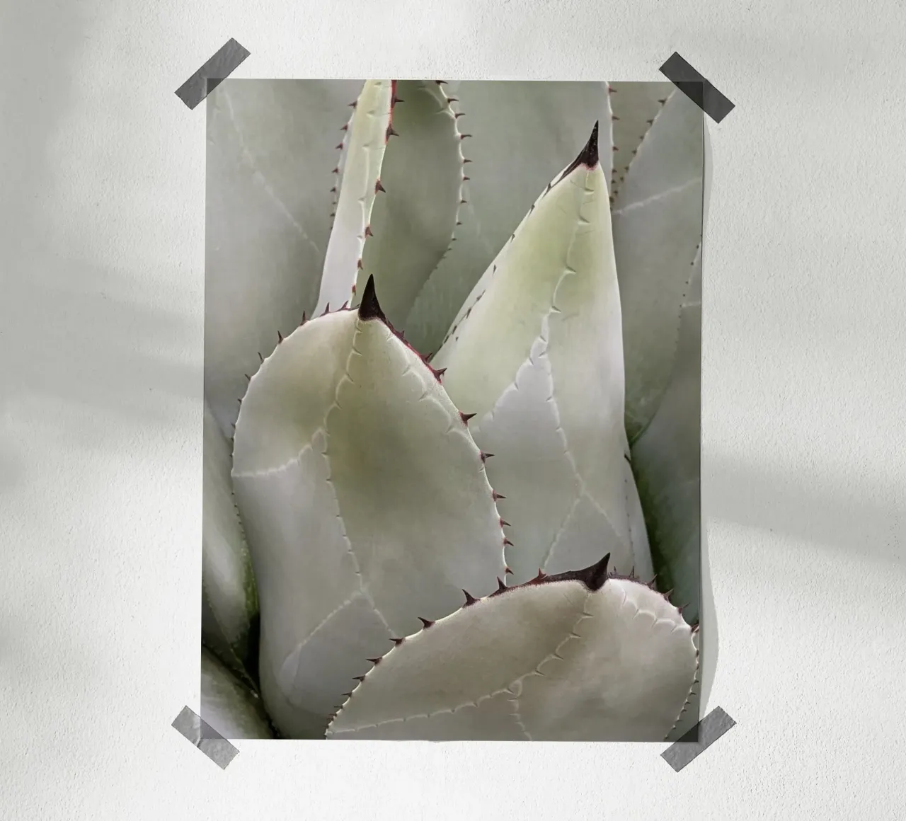 Overlapping poster by Pictufy Photography