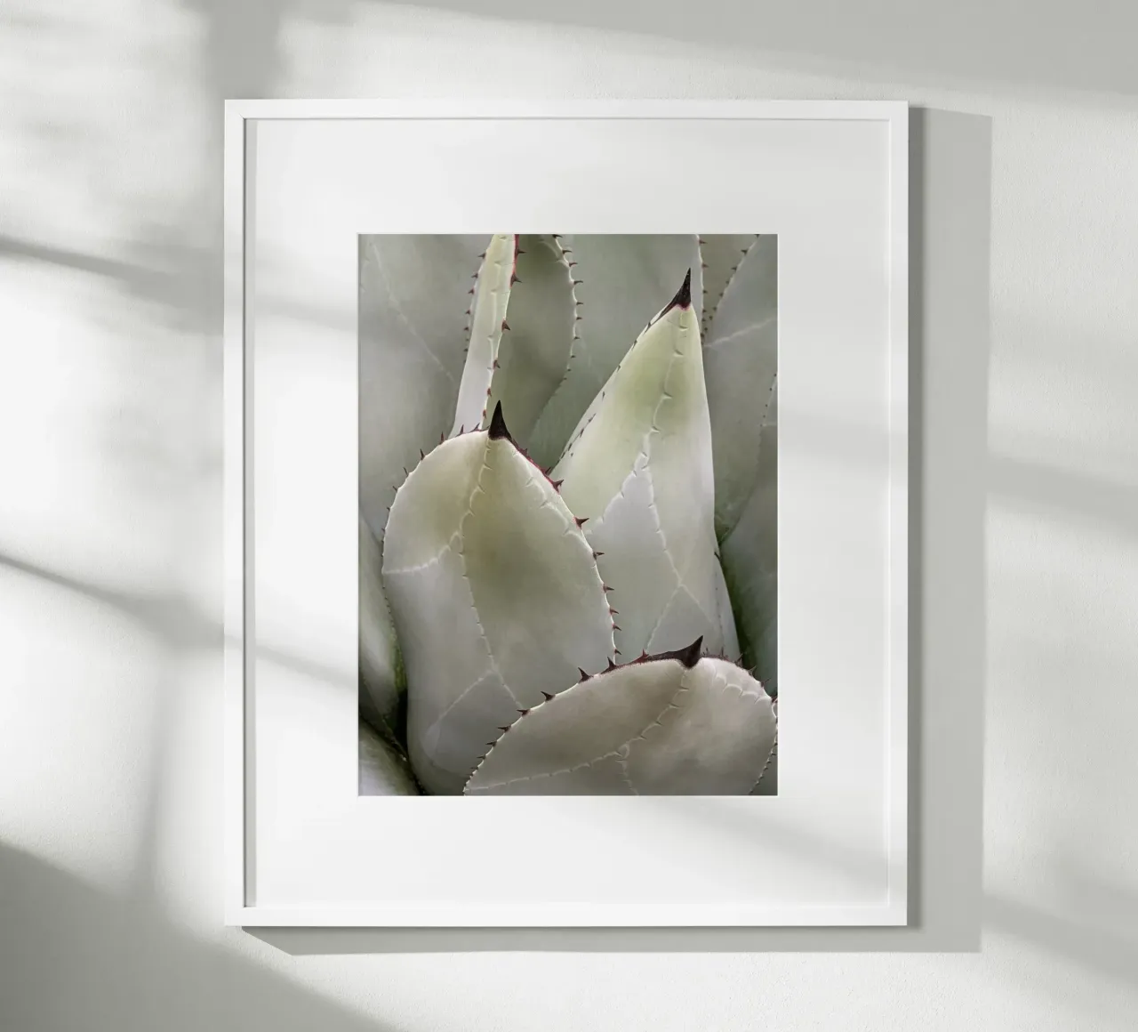 Overlapping poster by Pictufy Photography