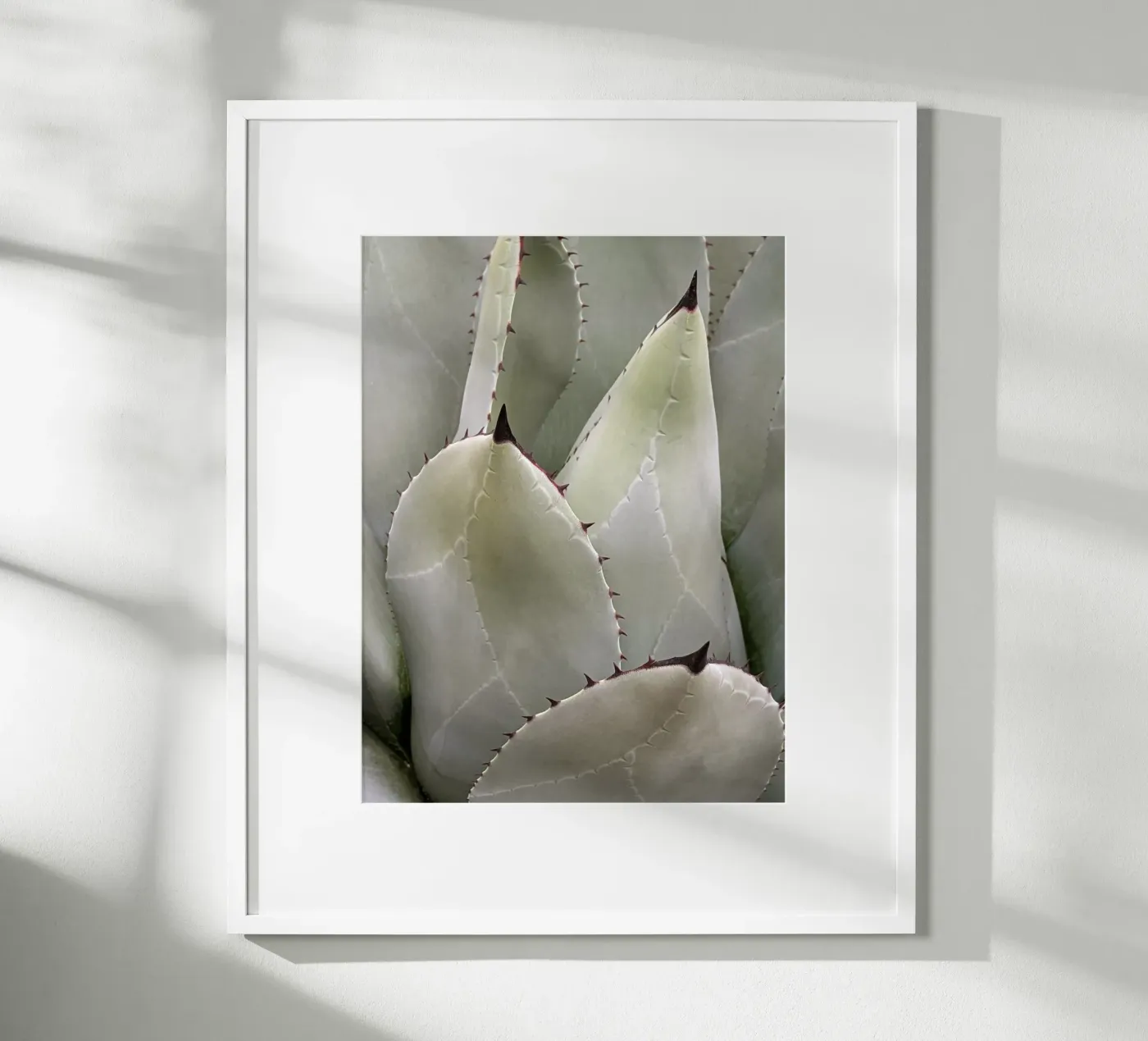 Sovrapposizione poster da Pictufy Photography