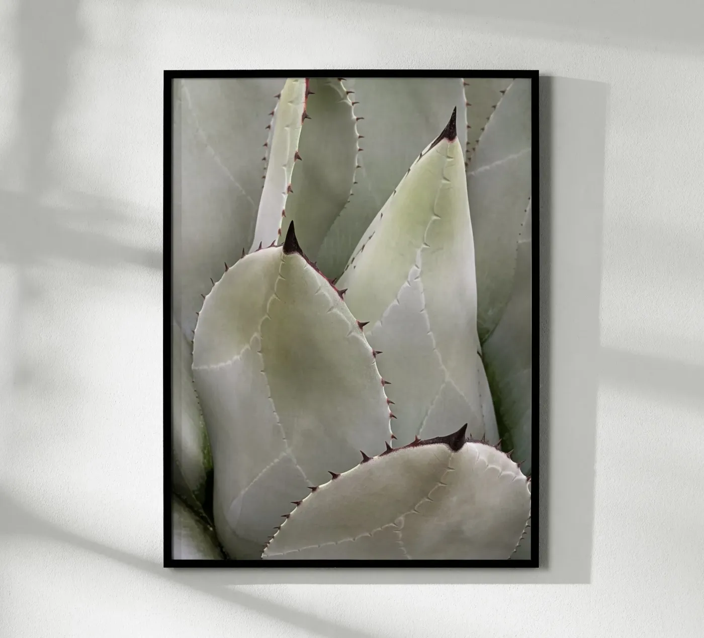 Sovrapposizione poster da Pictufy Photography