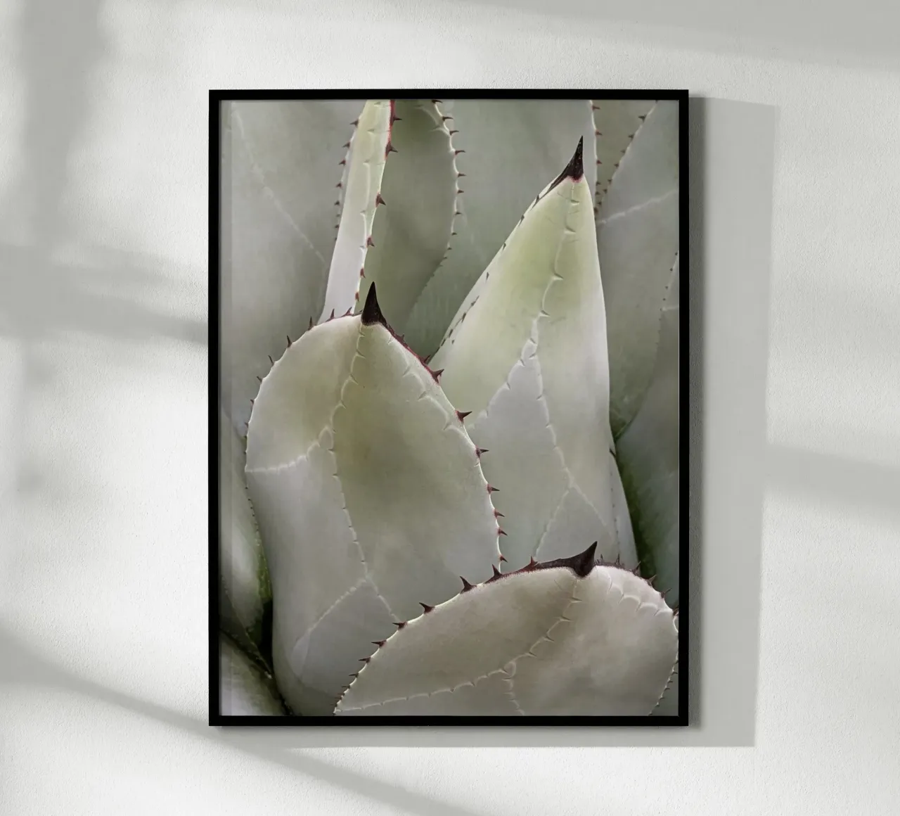 Overlapping poster by Pictufy Photography