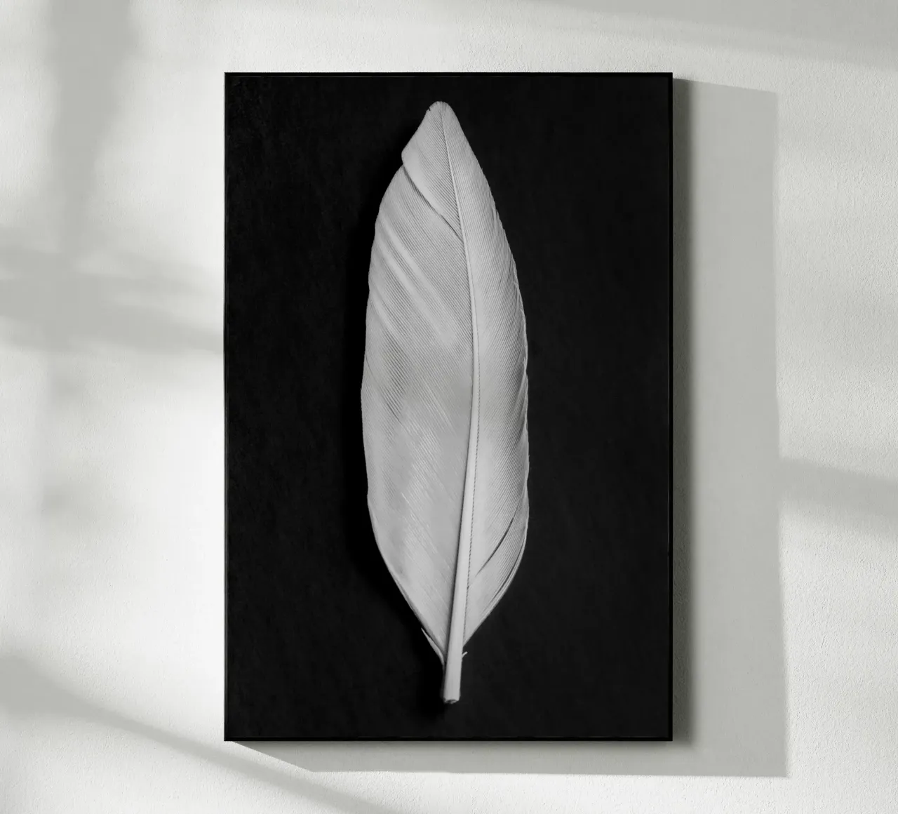 Feather acrylic glass by Pictufy Photography