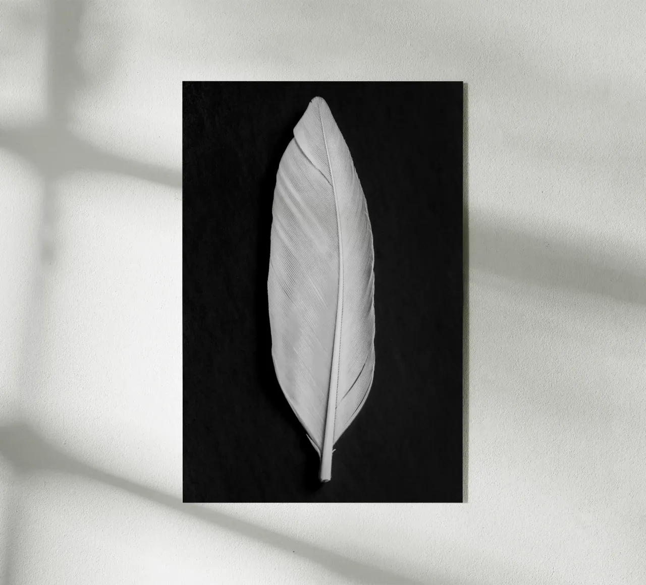 Piuma plexiglass da Pictufy Photography