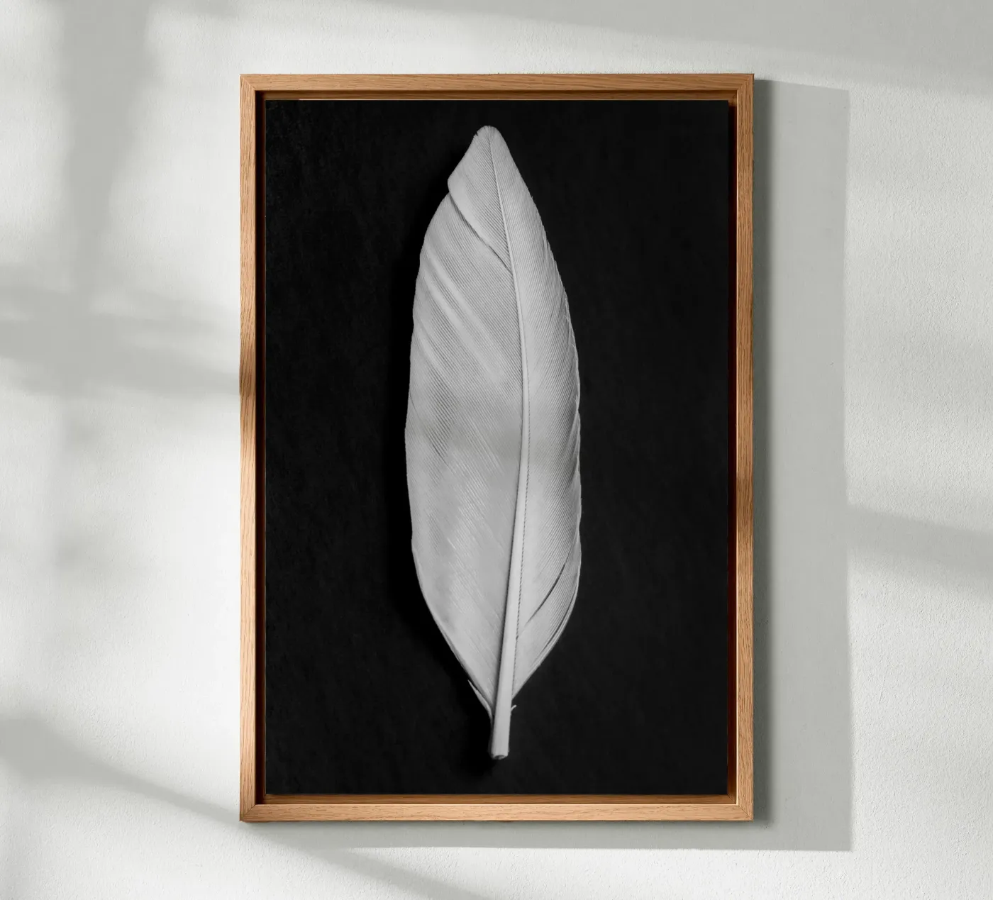 Feder Leinwand von Pictufy Photography