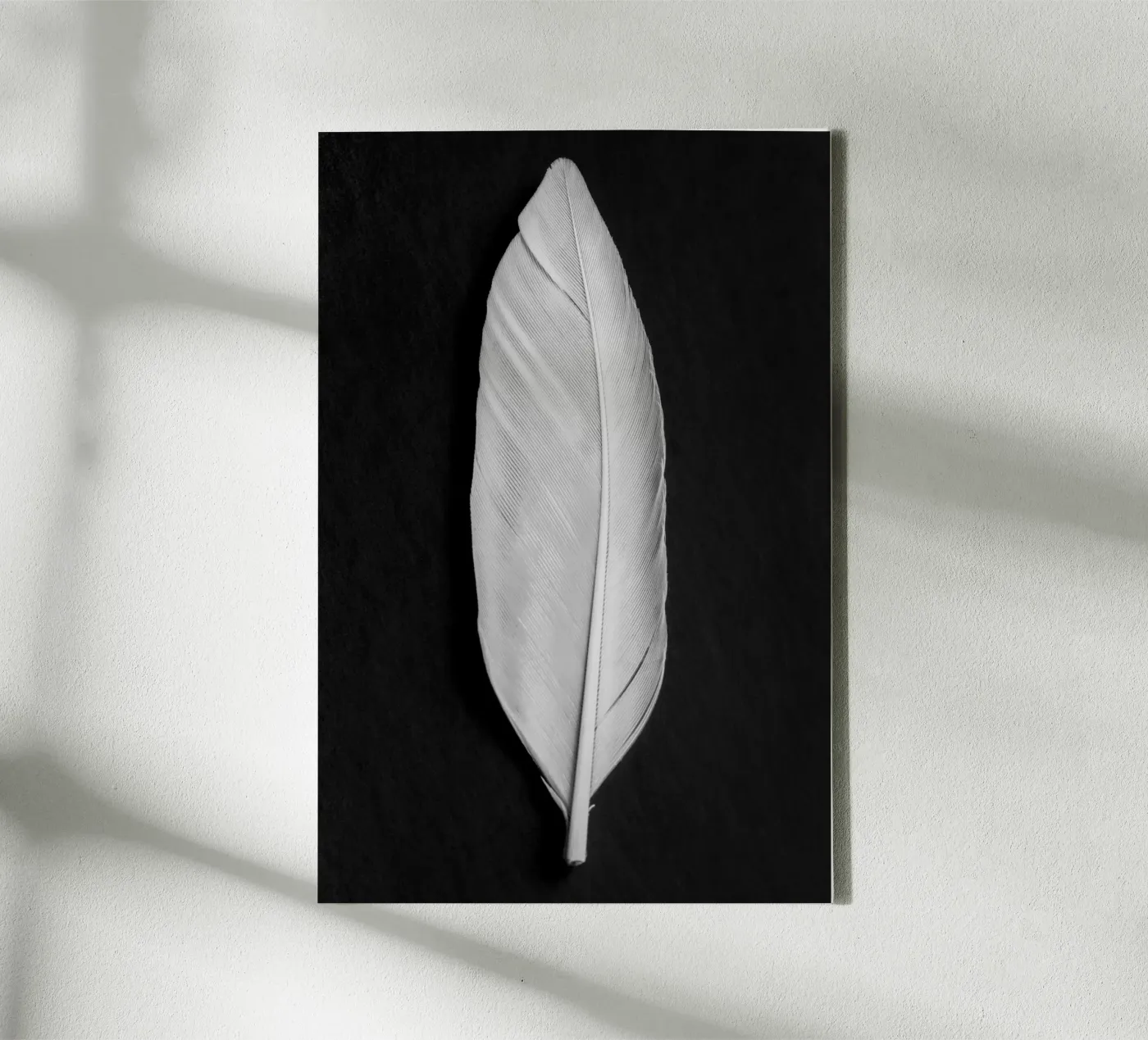 Feder Leinwand von Pictufy Photography