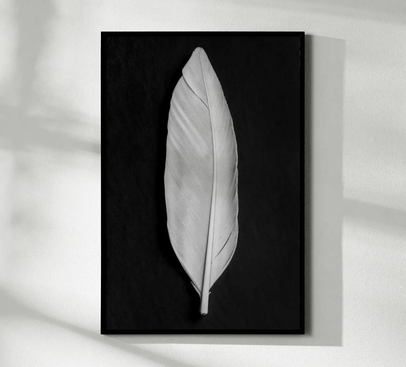 Feather poster da Pictufy Photography