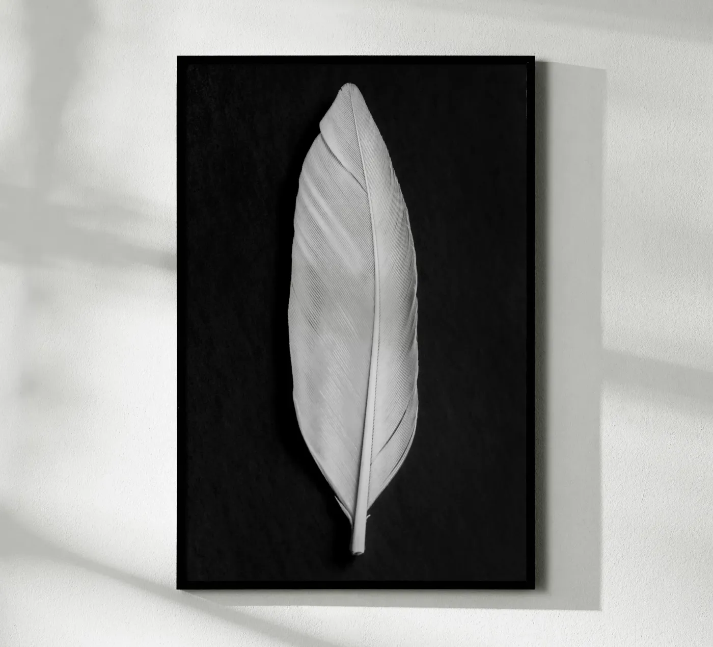 Feder Poster von Pictufy Photography