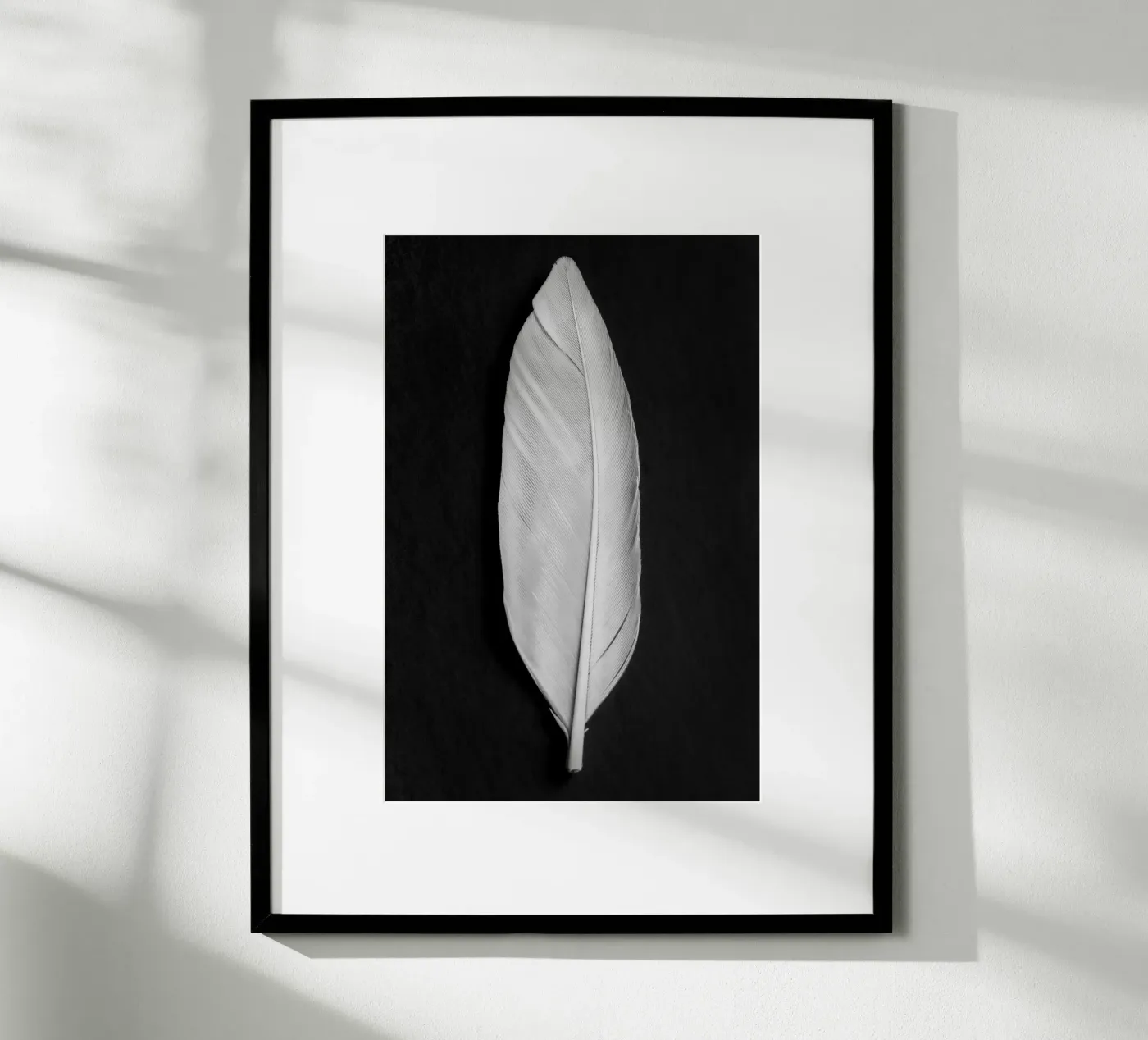 Feather poster da Pictufy Photography
