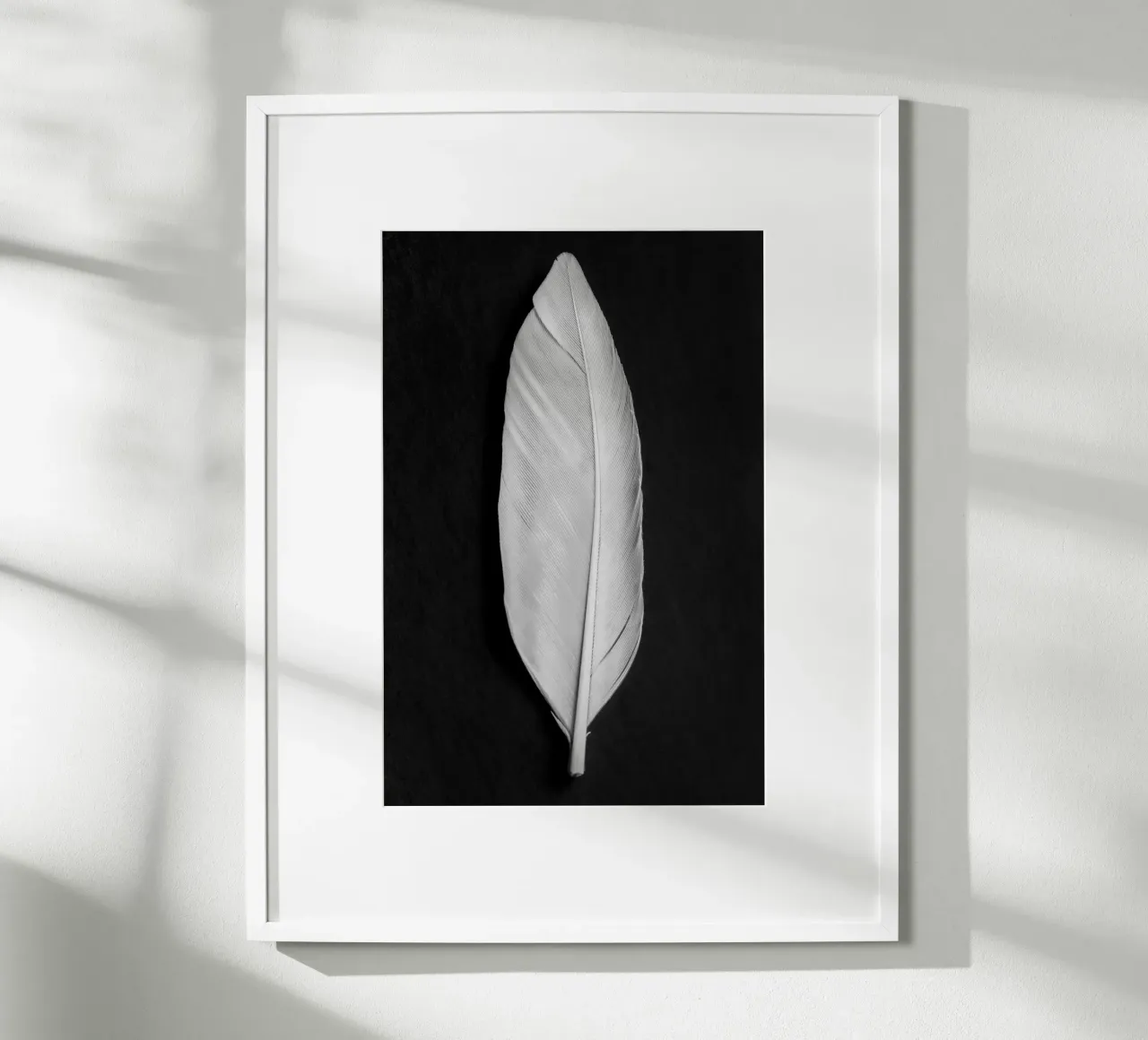 Piuma poster da Pictufy Photography