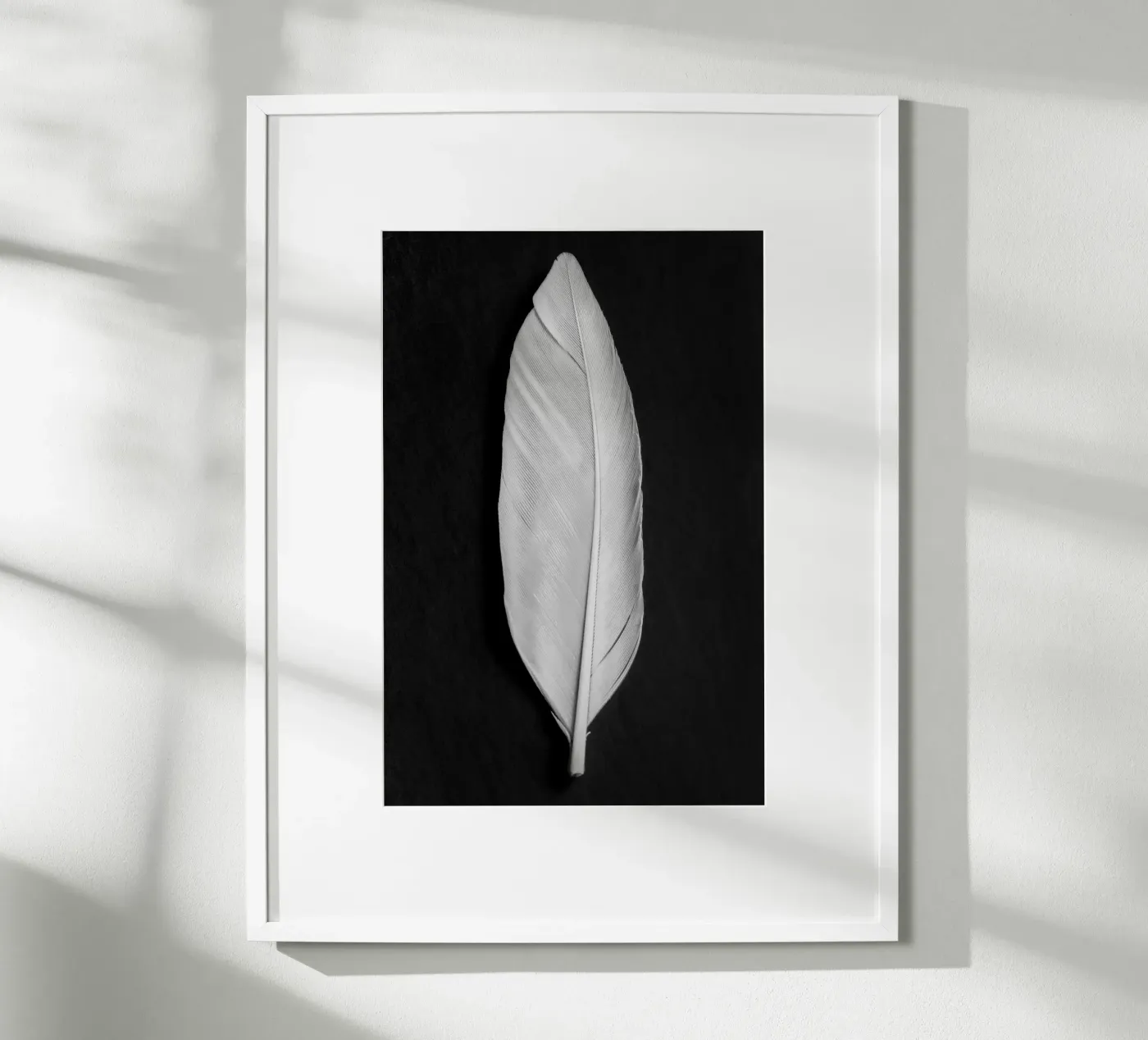 Feather poster da Pictufy Photography
