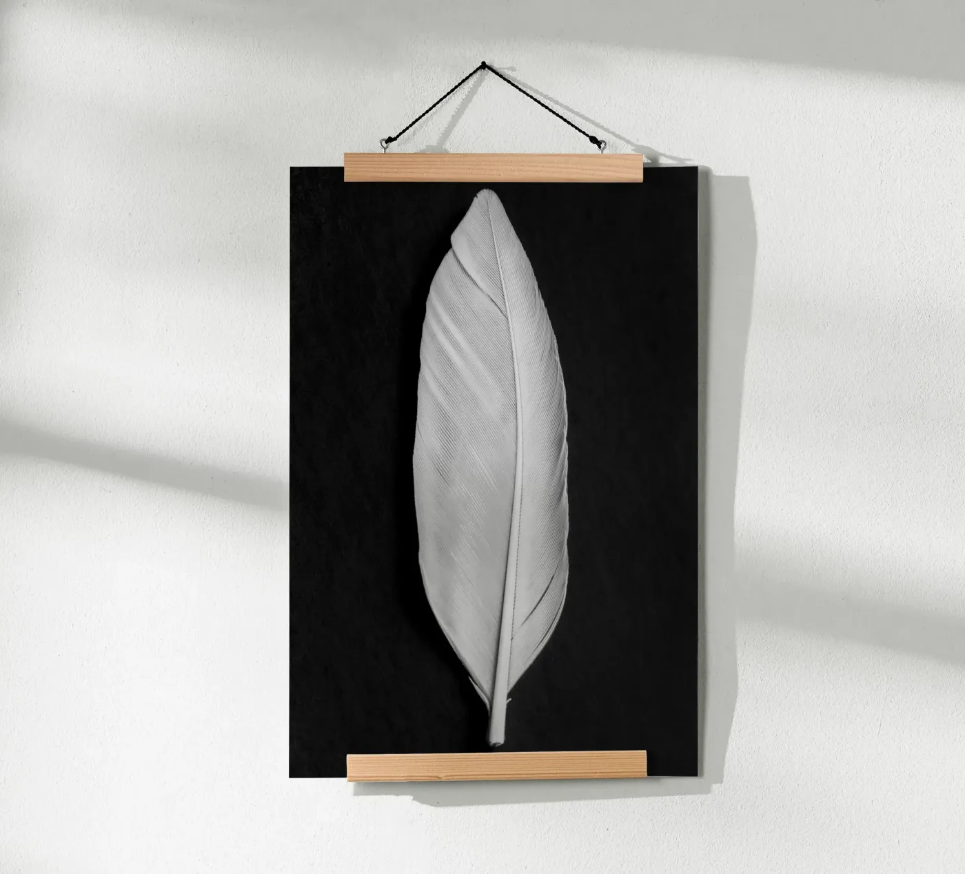 Feder Poster von Pictufy Photography