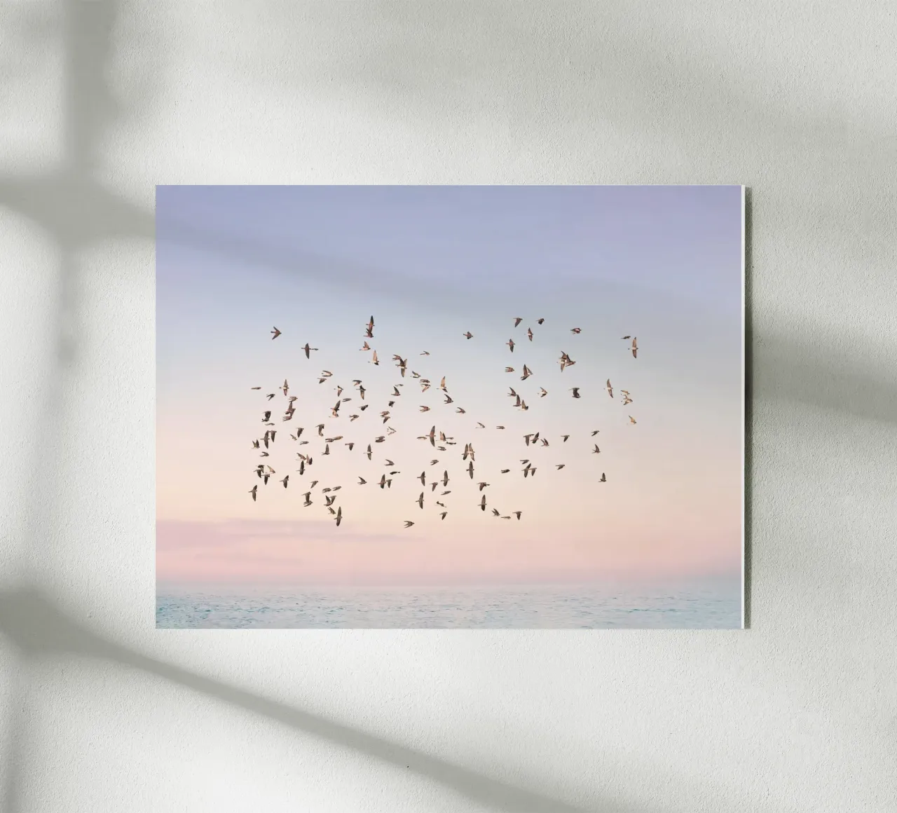 Sunset Flight plexiglass da Pictufy Photography