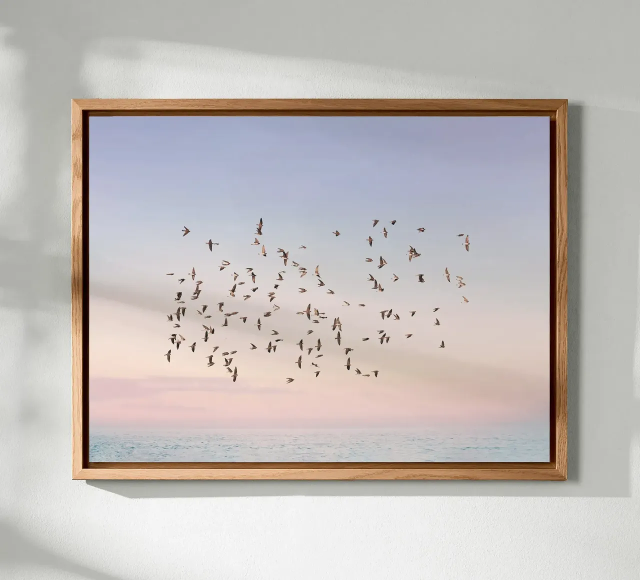 Sunset Flight forex plate by Pictufy Photography