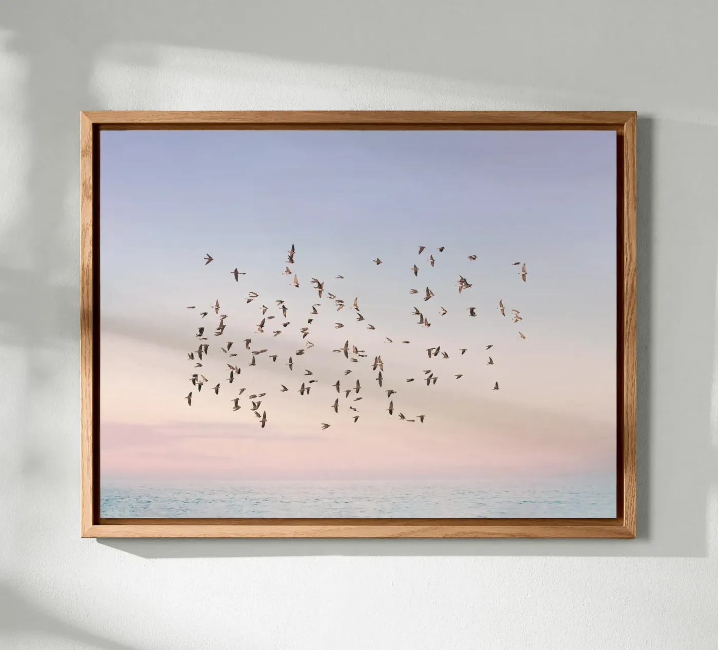 Sunset Flight forex plate by Pictufy Photography