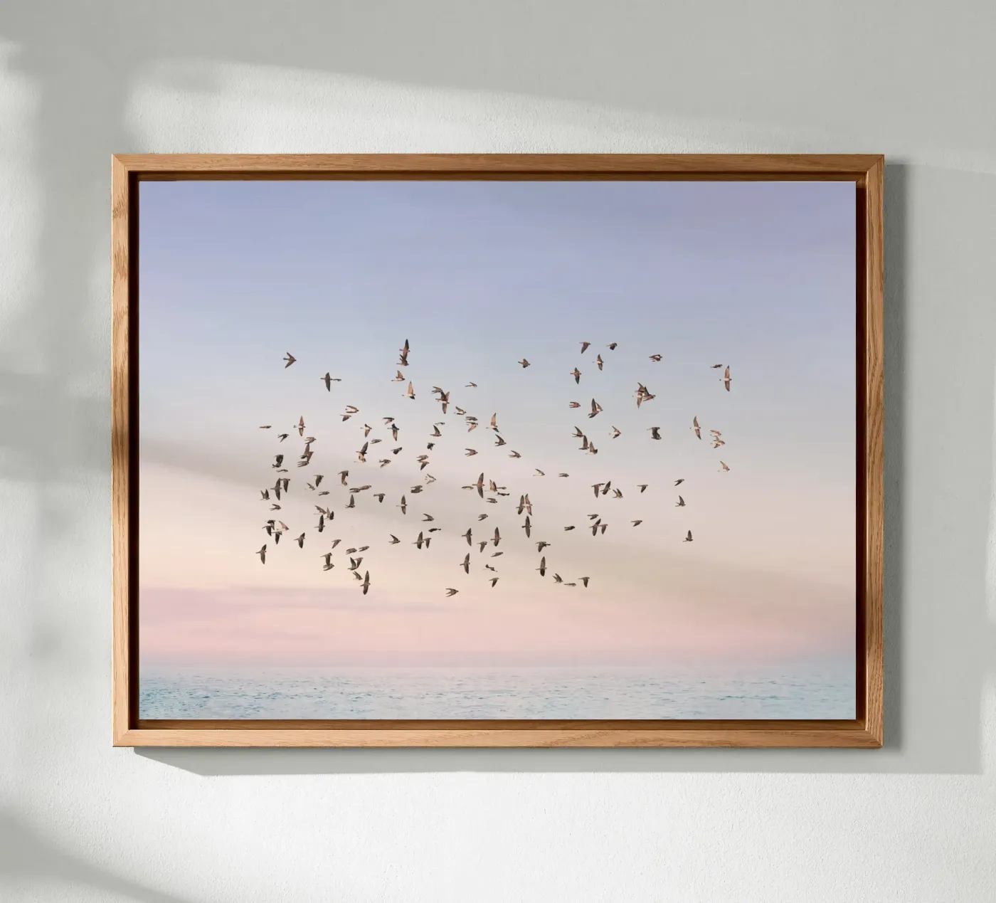 Volo al tramonto alluminio dibond da Pictufy Photography