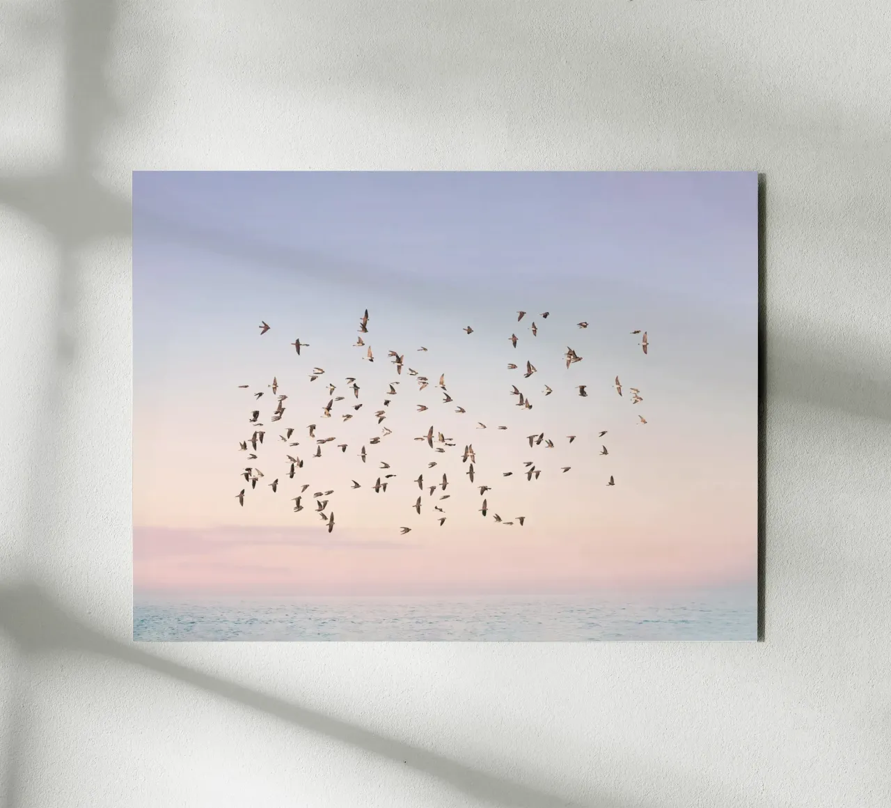 Sunset Flight forex plate by Pictufy Photography