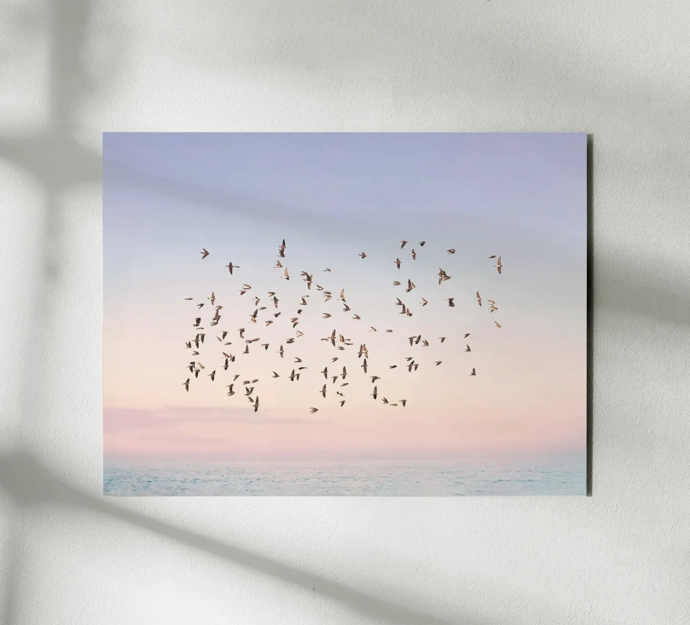 Sunset Flight forex plate by Pictufy Photography