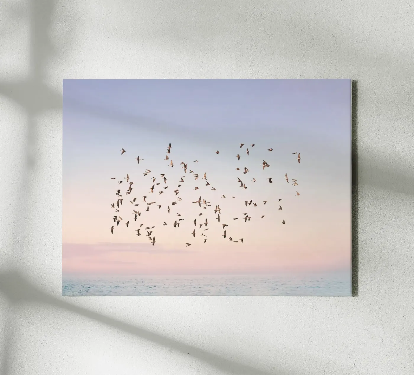 Sunset Flight canvas by Pictufy Photography