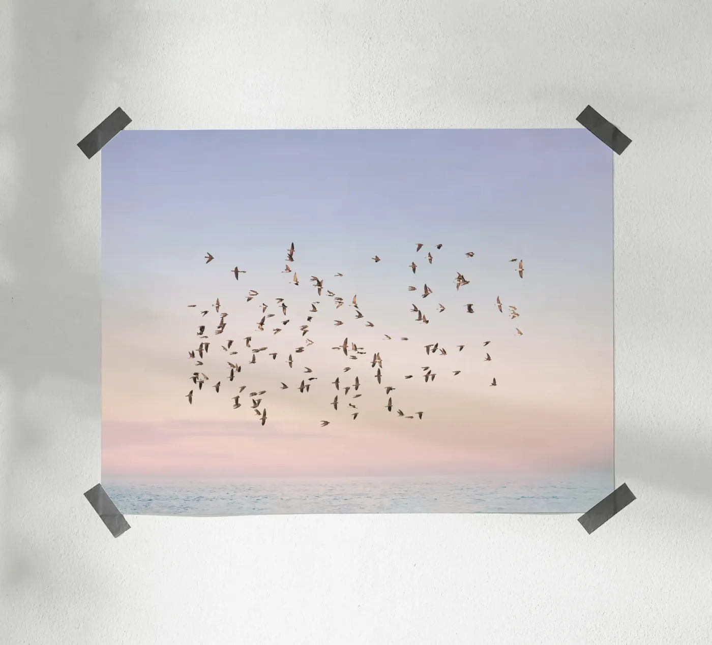 Sunset Flight poster by Pictufy Photography