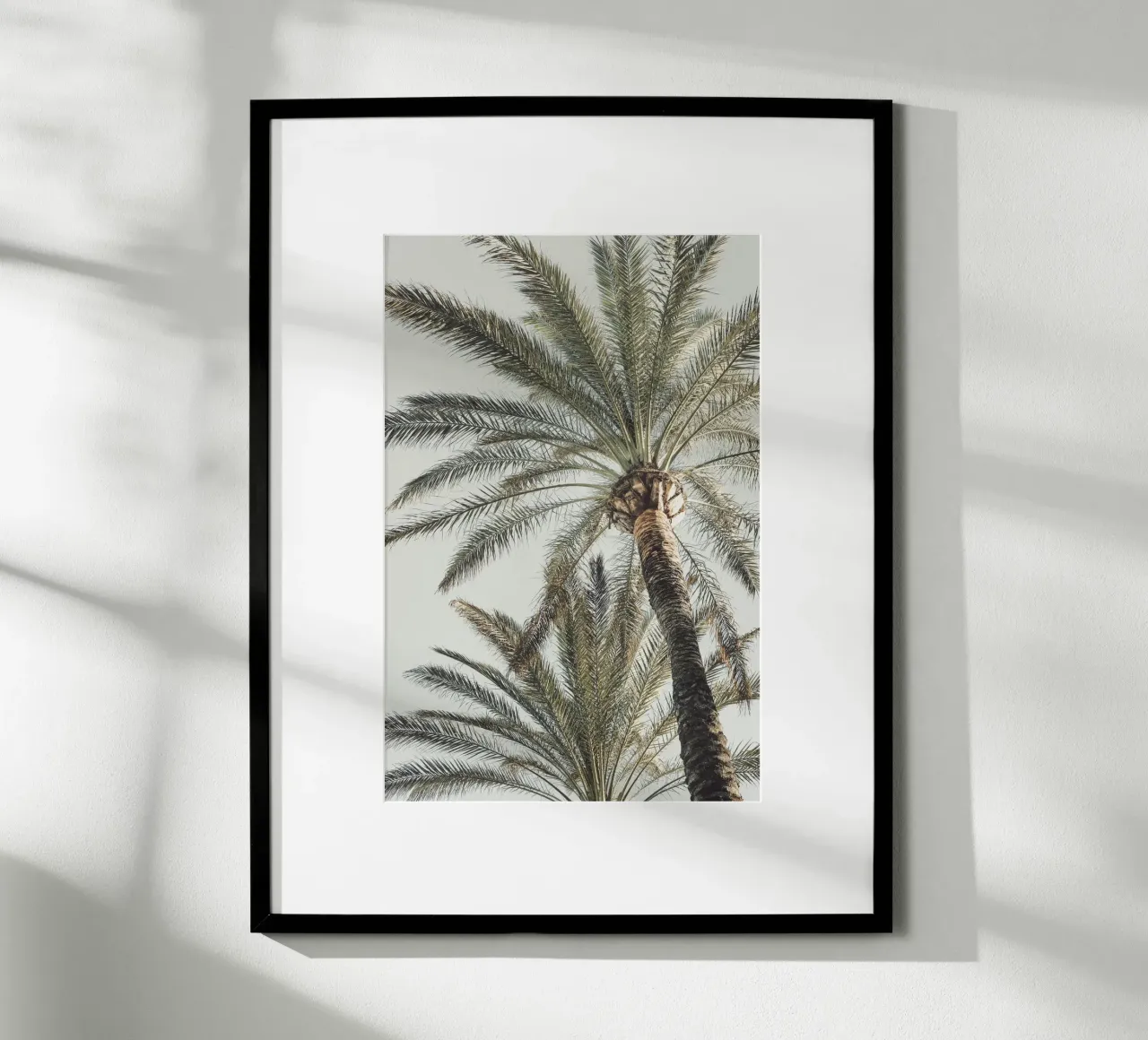 Palms poster by Pictufy Photography
