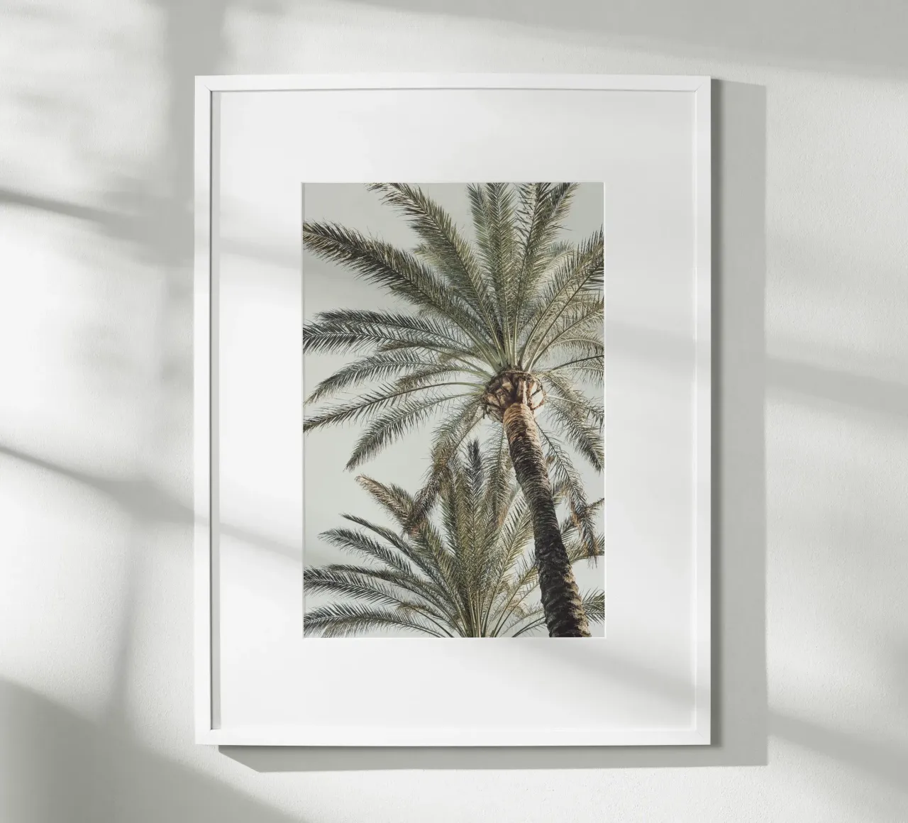 Palme poster da Pictufy Photography