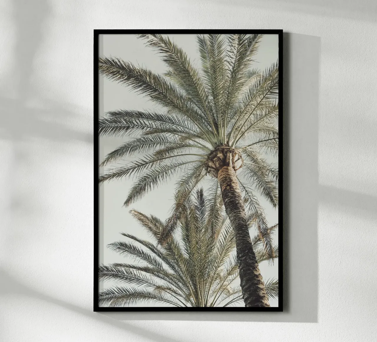 Palme poster da Pictufy Photography