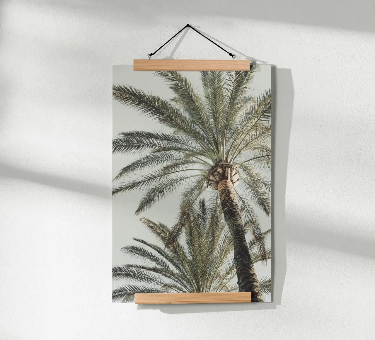 Palme poster da Pictufy Photography