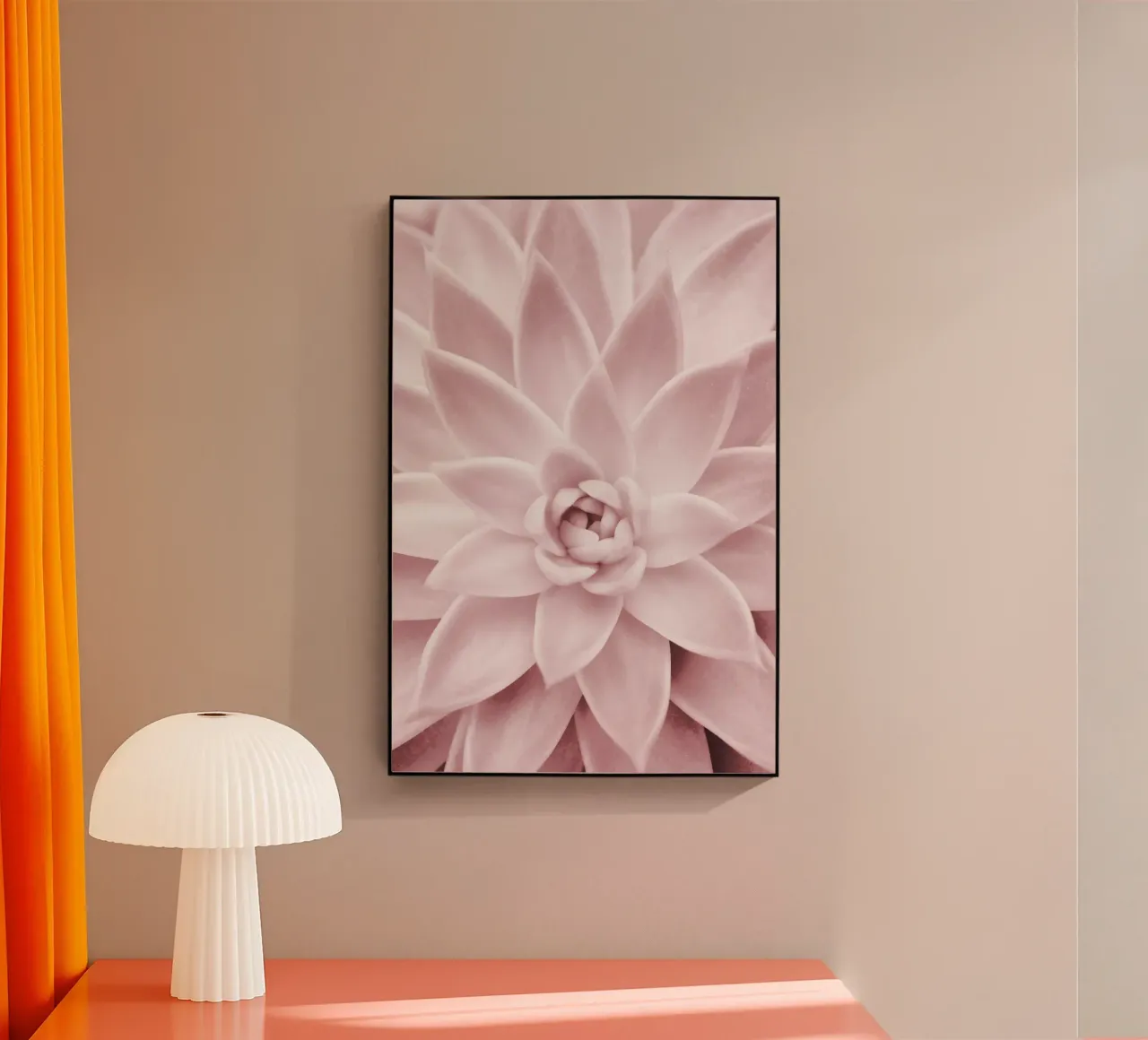 Succulenta rosa plexiglass da Pictufy Photography