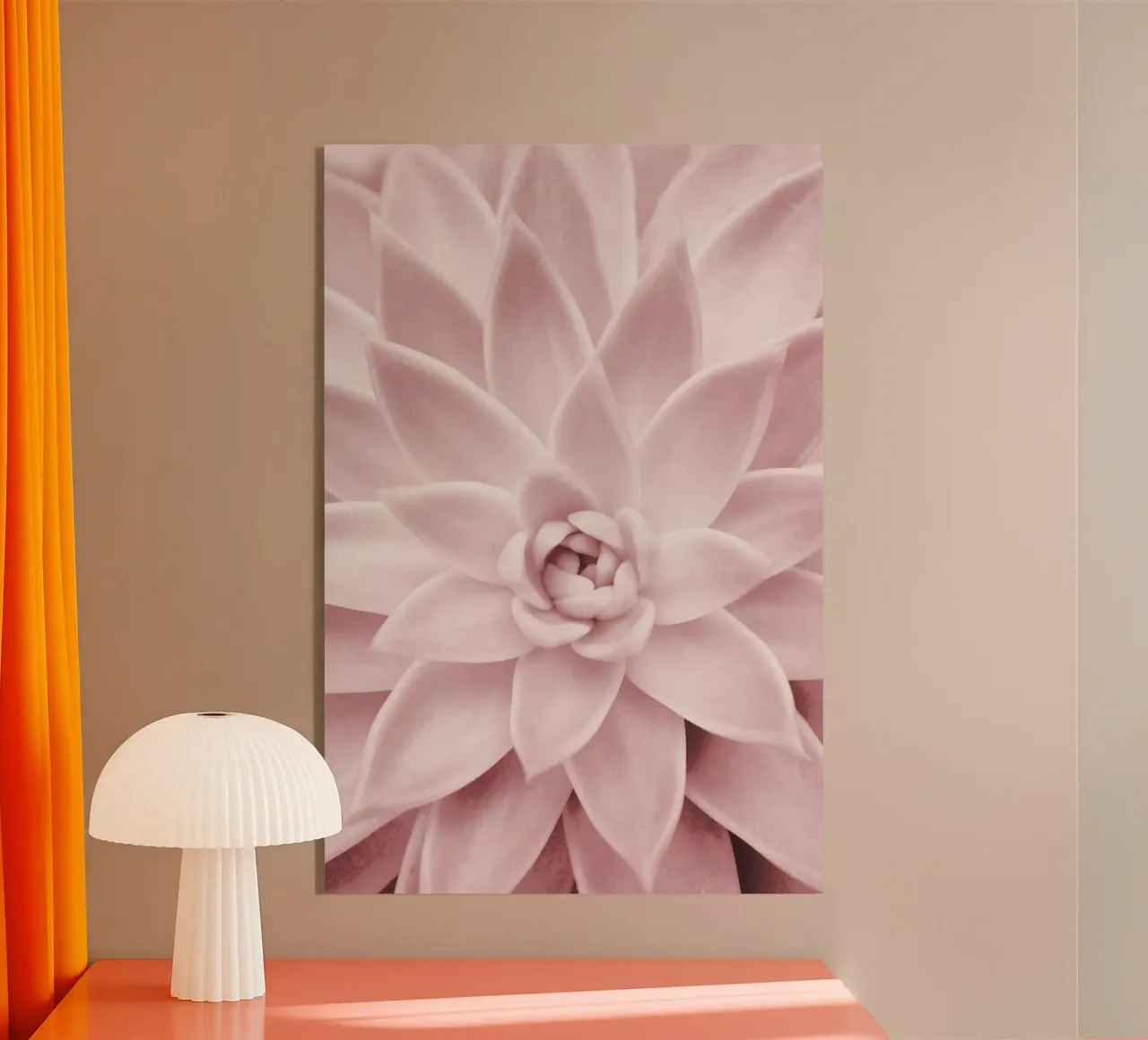 Succulenta rosa plexiglass da Pictufy Photography