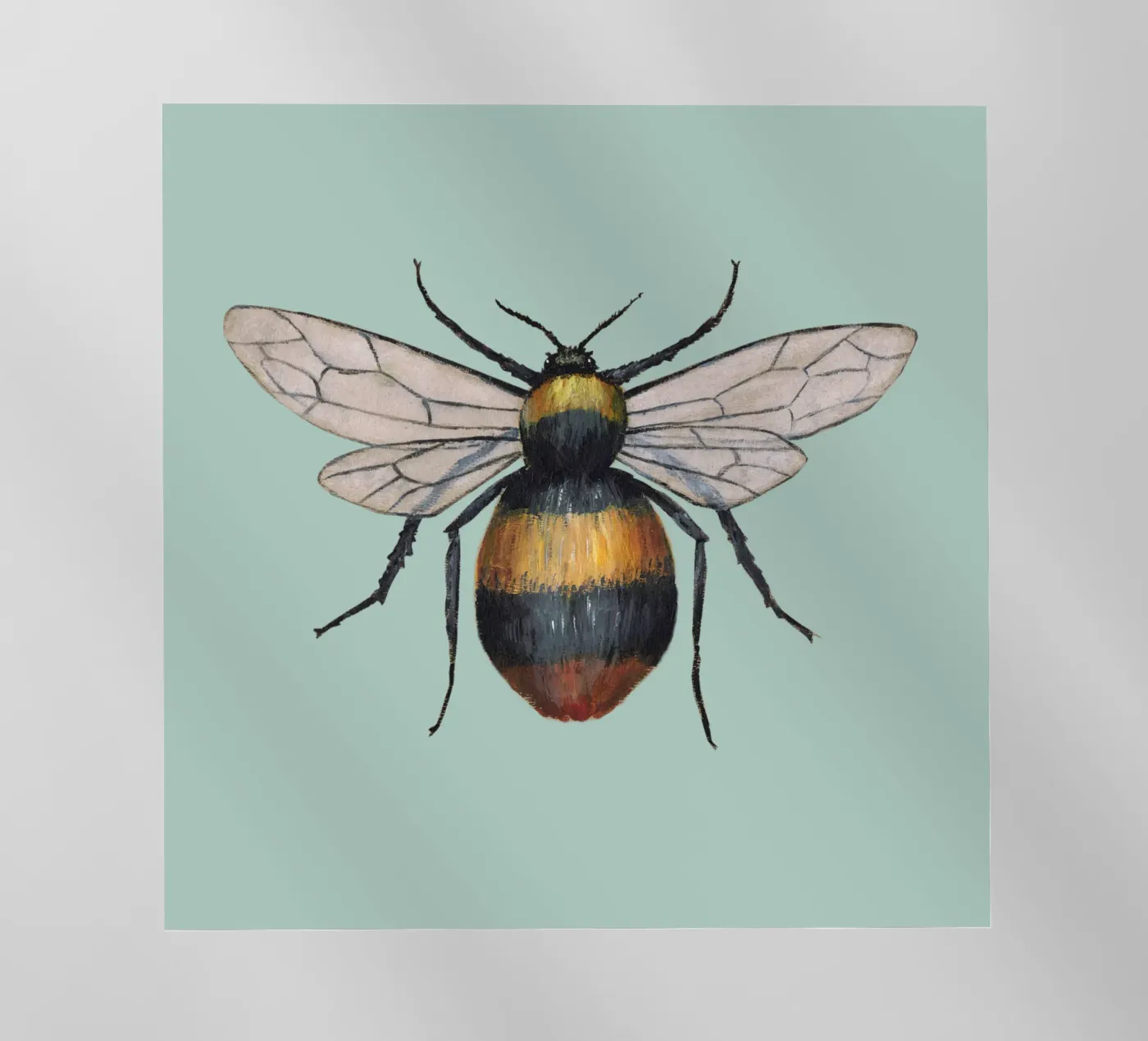 Calabrone pellicola backlit da BwiseLizzy