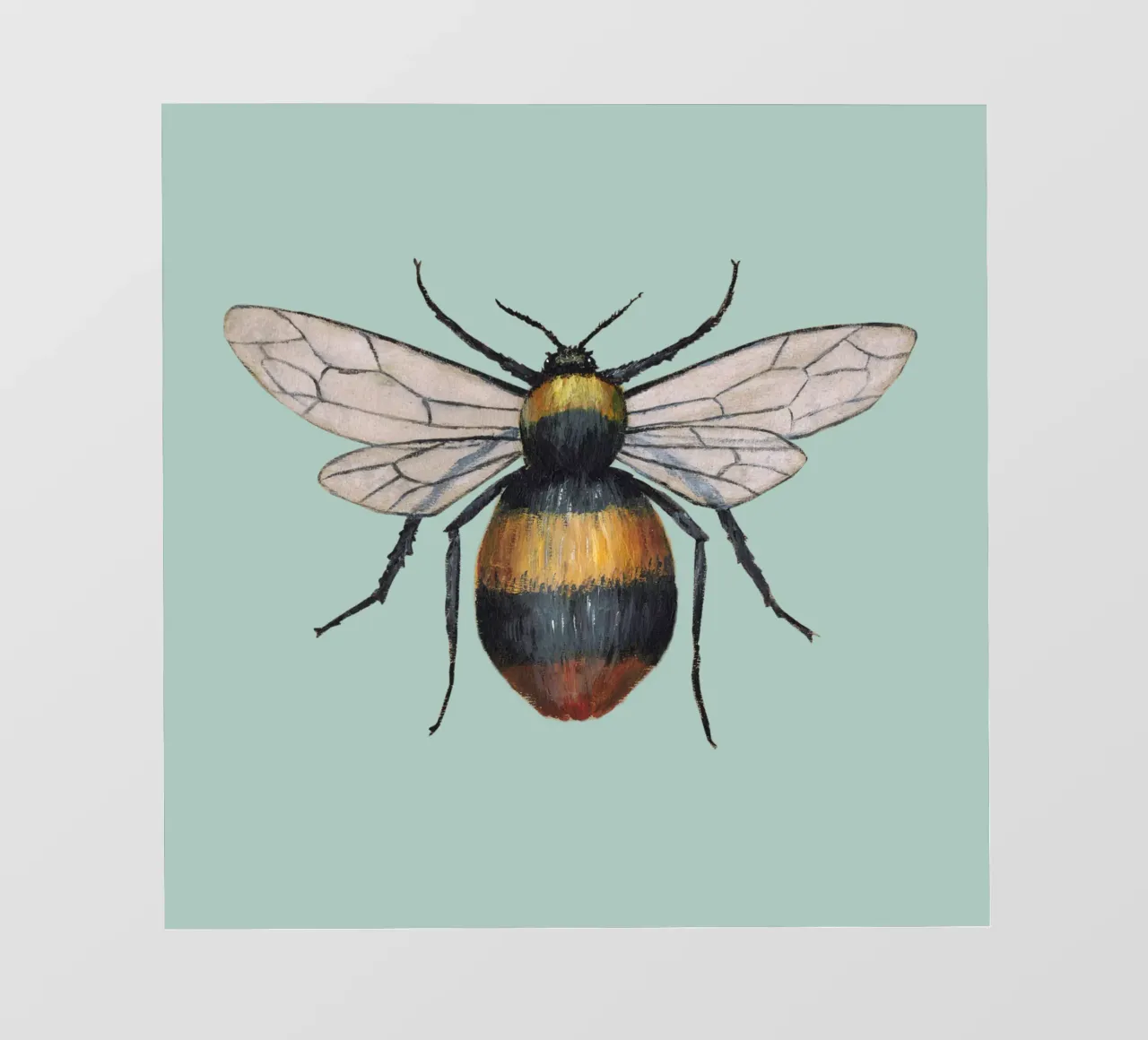Hommel fotobehang van BwiseLizzy