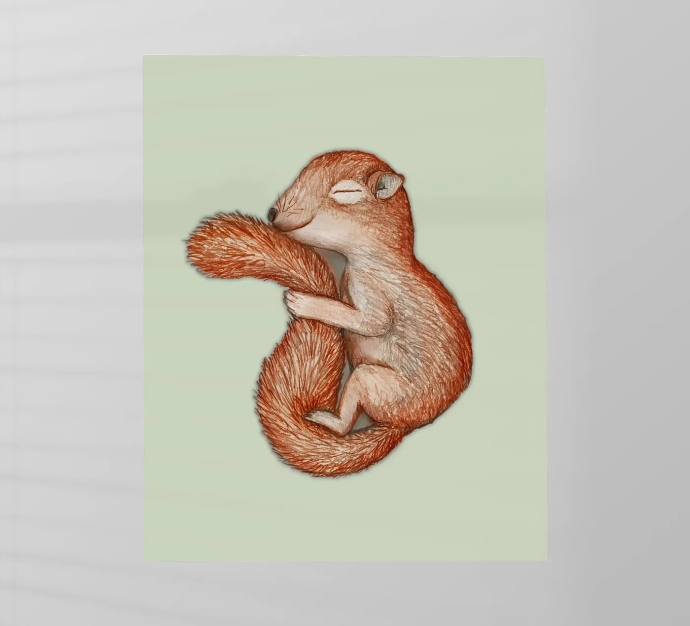 Scoiattolo in letargo pellicola backlit da BwiseLizzy