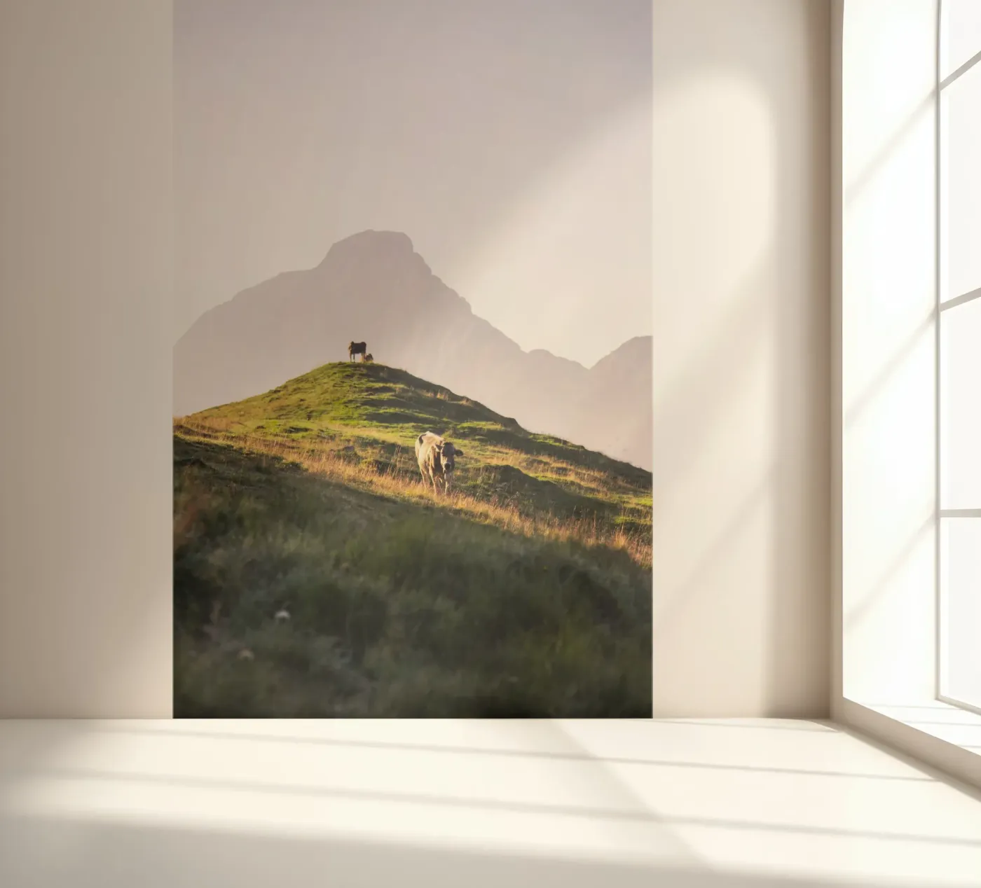 cows I fotobehang van lookingforstardust