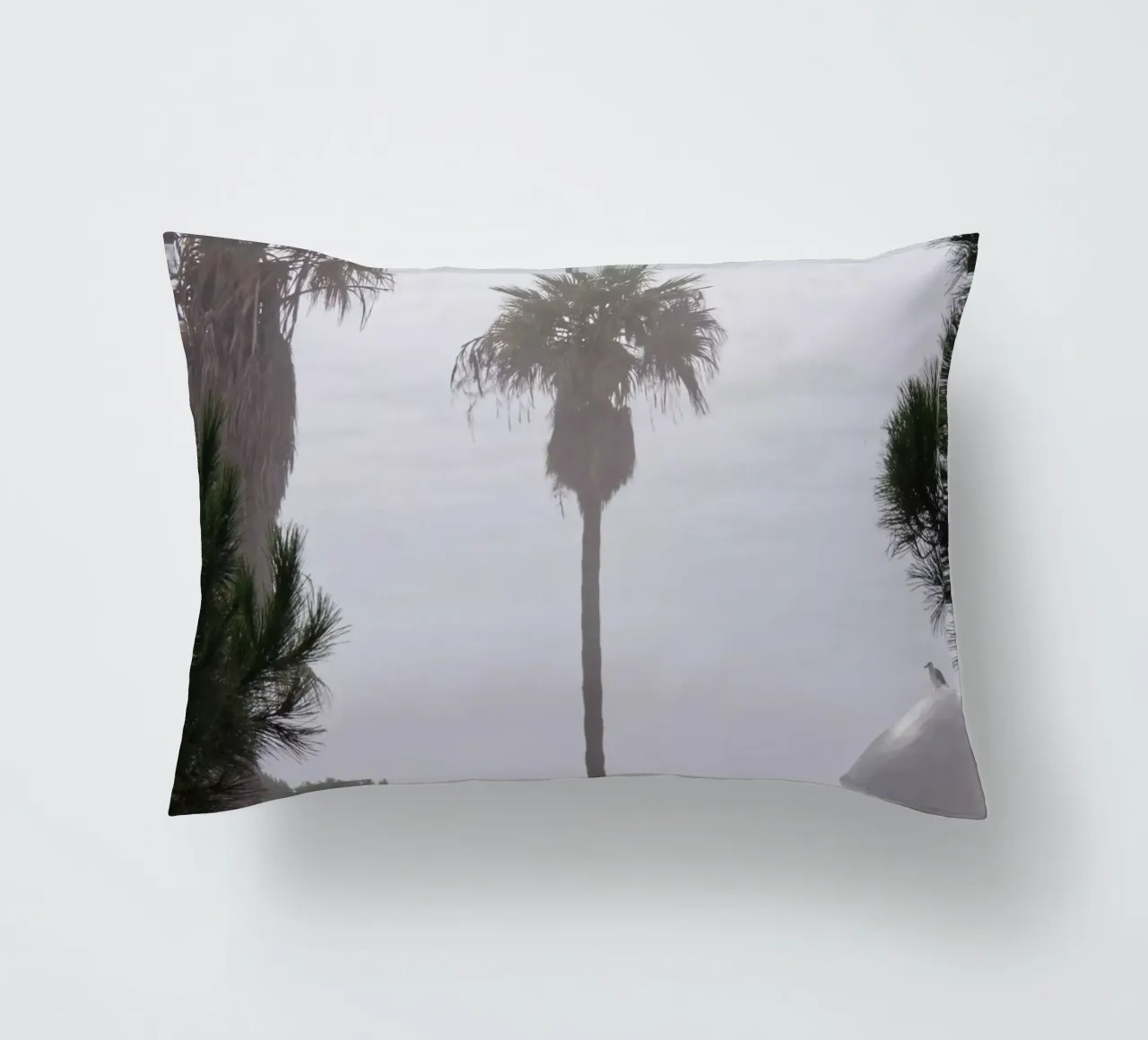 Palm tree cuscino da Fjöllart