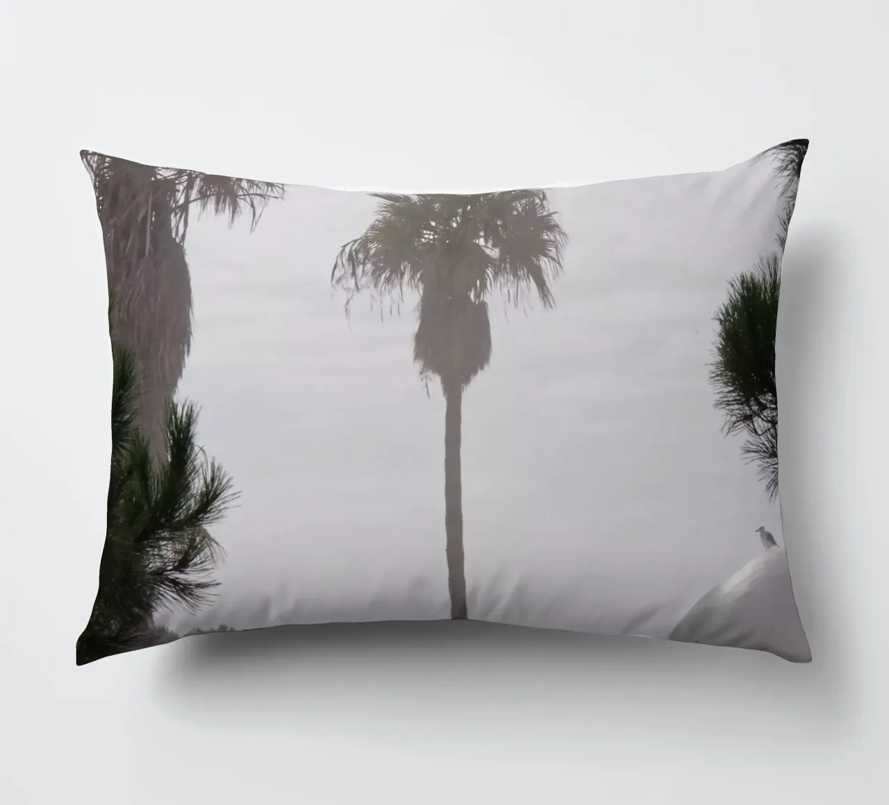 Palm tree cuscino da Fjöllart