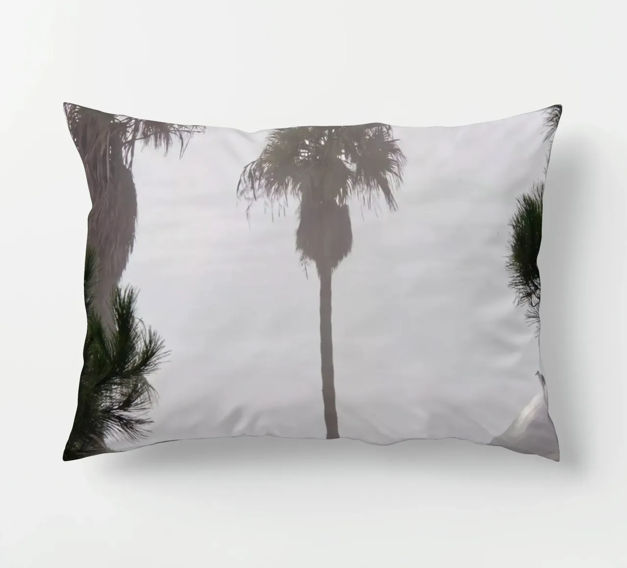 Palm tree cuscino da Fjöllart